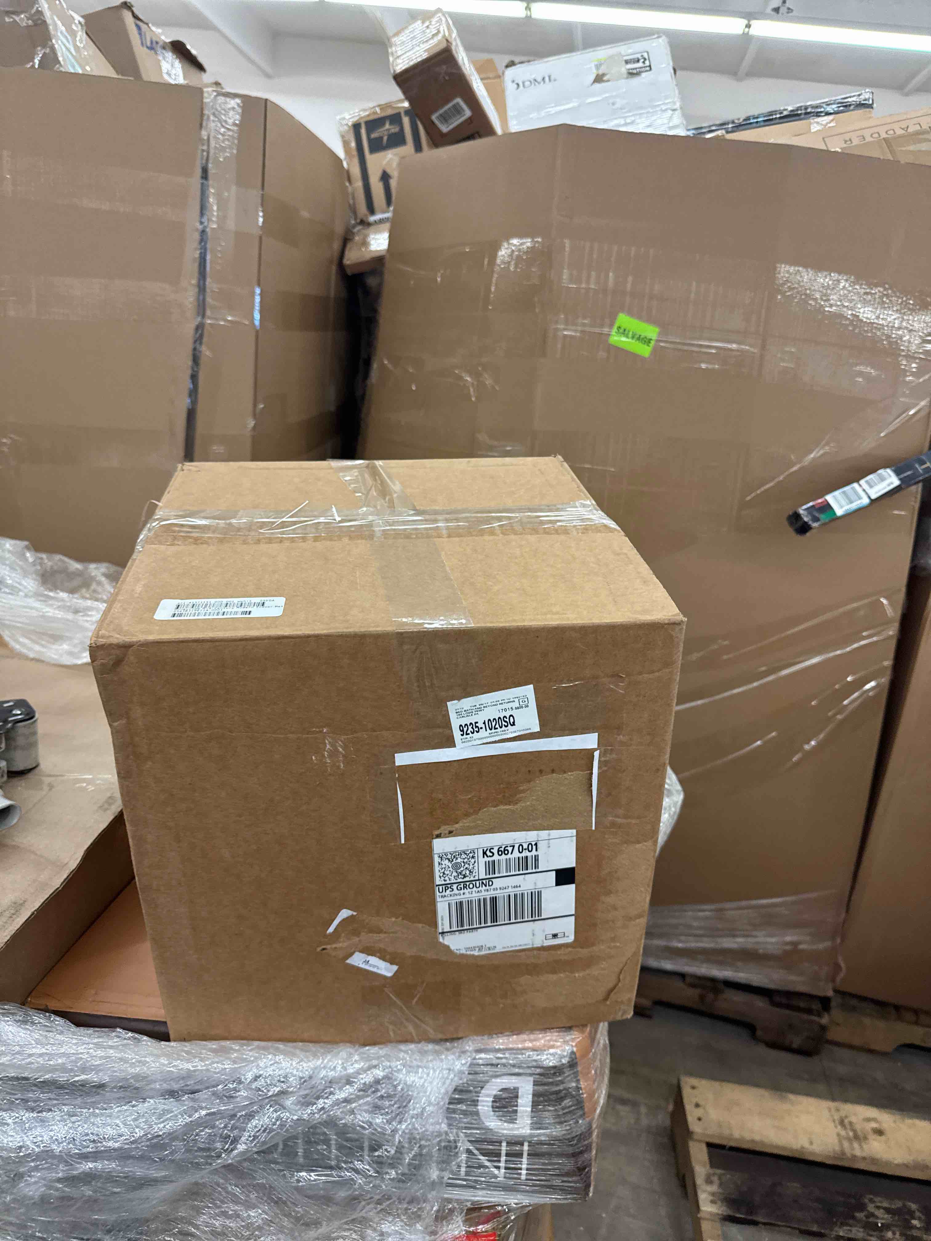 https://s3.amazonaws.com/lotting-images-prod/phillipi/BRN0113493_1730135852647.jpeg