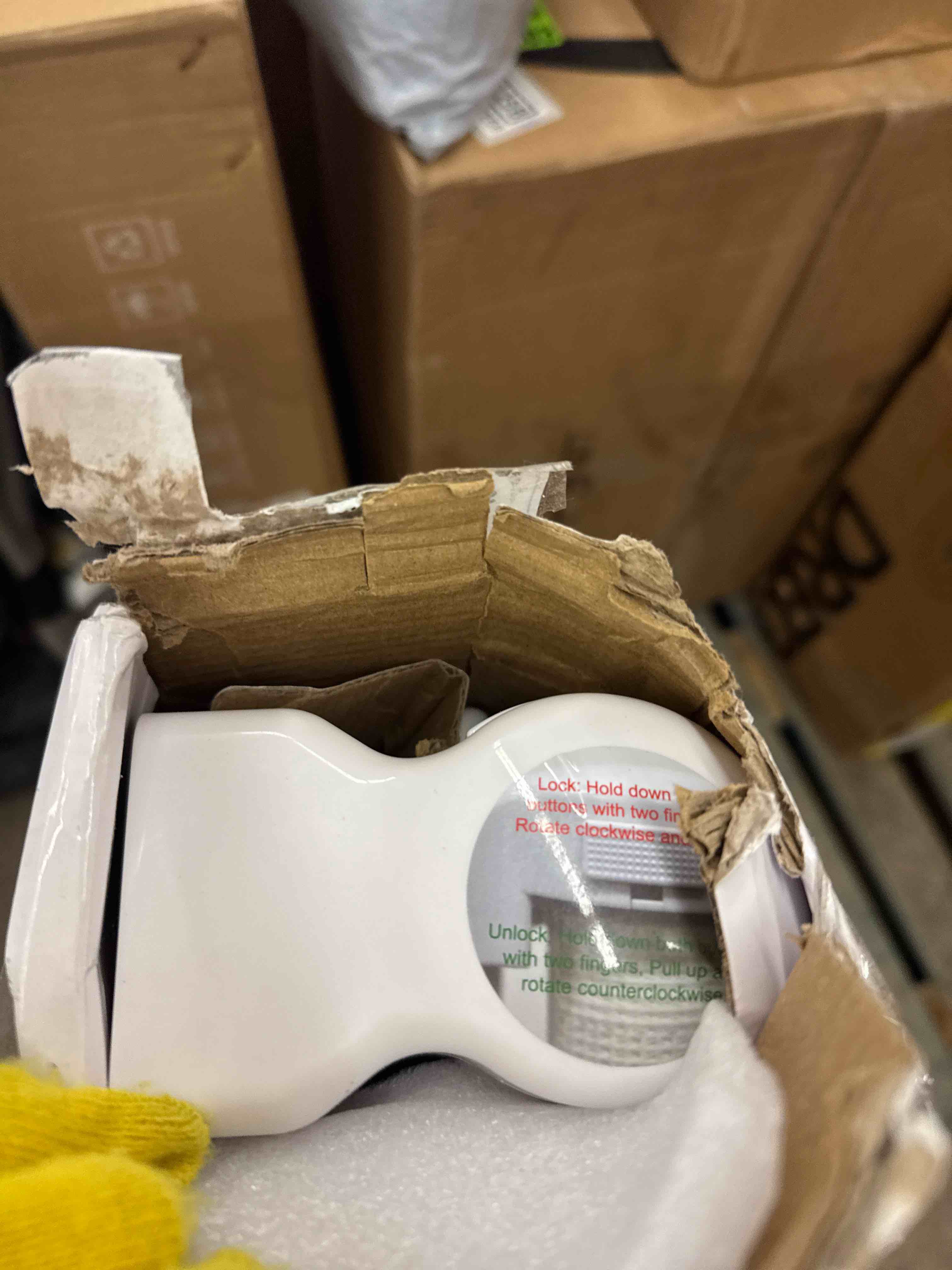 https://s3.amazonaws.com/lotting-images-prod/phillipi/BRN0471467_1736886632218.jpeg