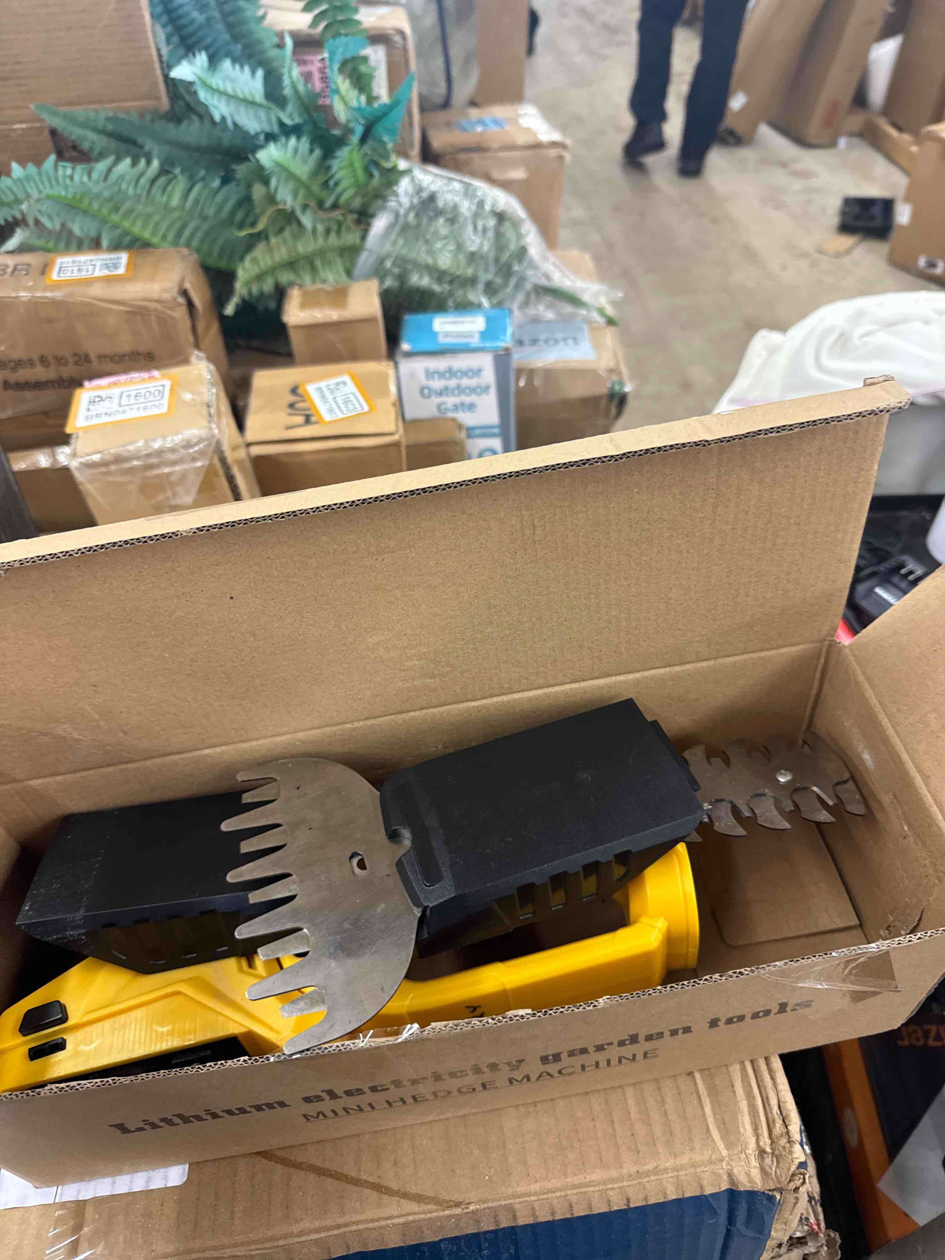 https://s3.amazonaws.com/lotting-images-prod/phillipi/BRN0471591_1736454858459.jpeg
