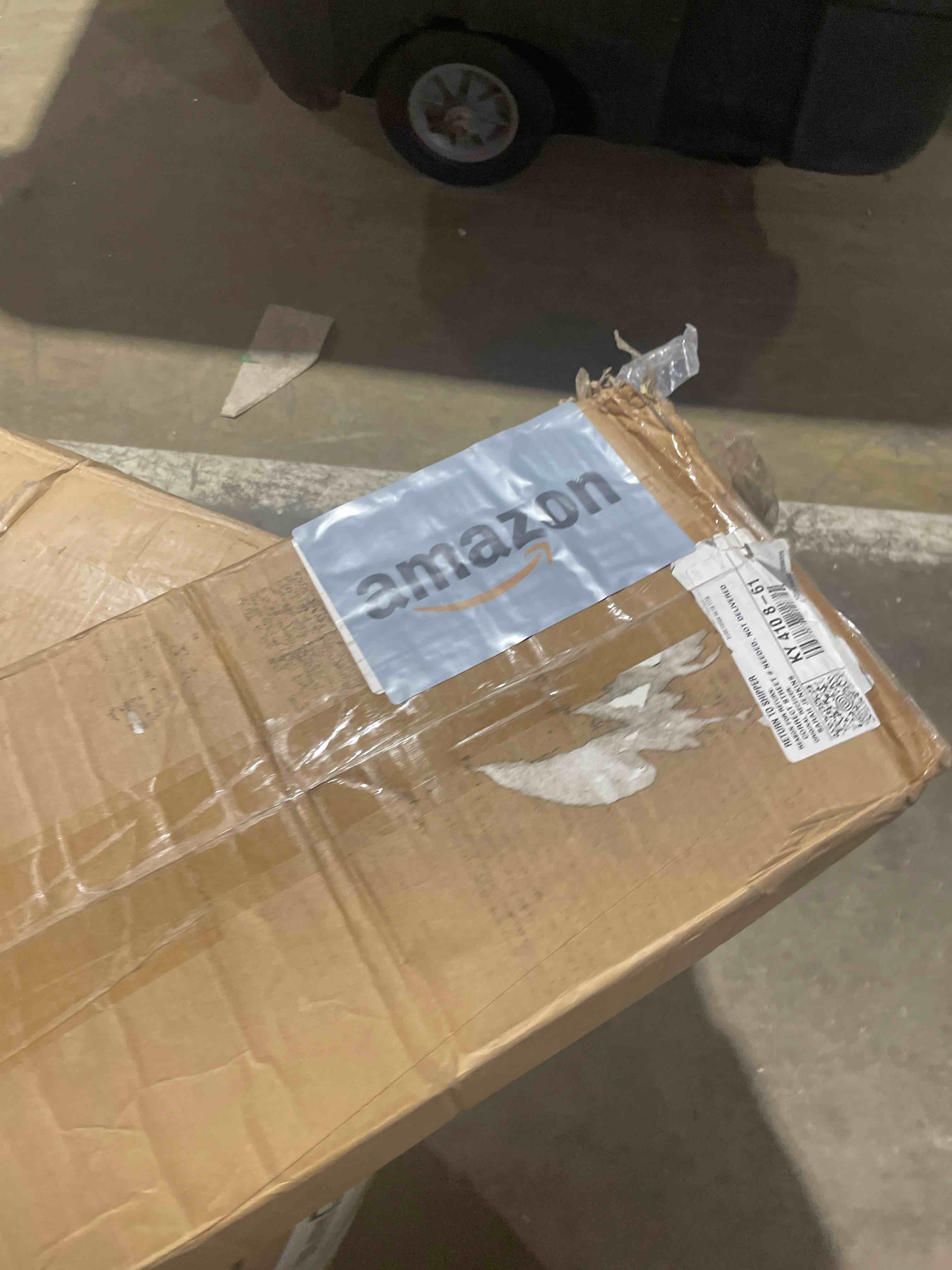 https://s3.amazonaws.com/lotting-images-prod/phillipi/BRN0475549_1733239748631.jpeg