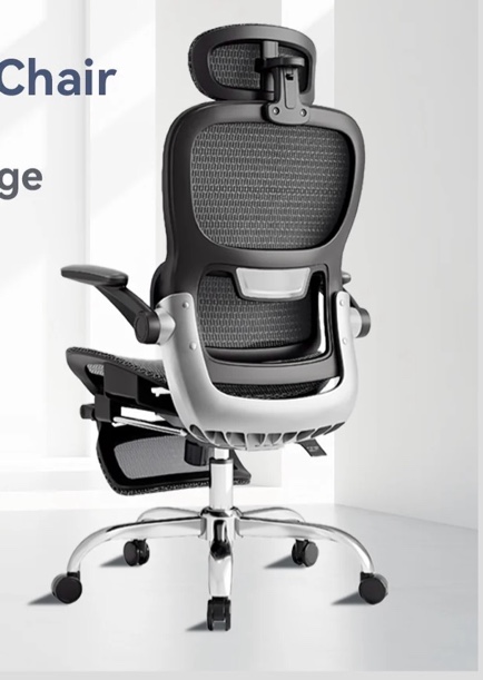 Ergonomic Office Chair, Mesh Seat Cushion with Flip-Up Armrests and 3D Headrest, Adjustable Lumbar Support, SGS Class 4 Gas Clylinder, Light Grey