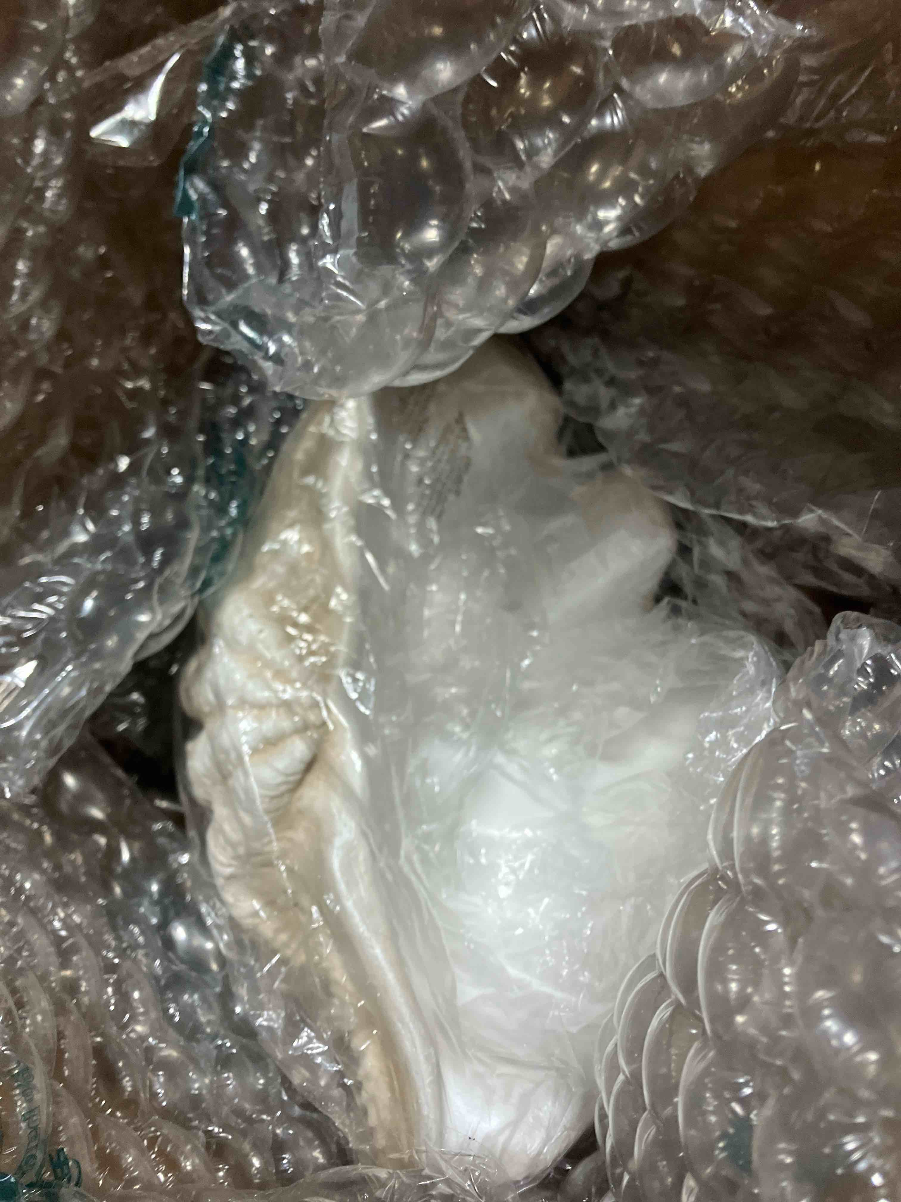 Condition photo showing New/Like New for Bequette Resin Polyresin Coastal Decorative Clam Shell Bowl