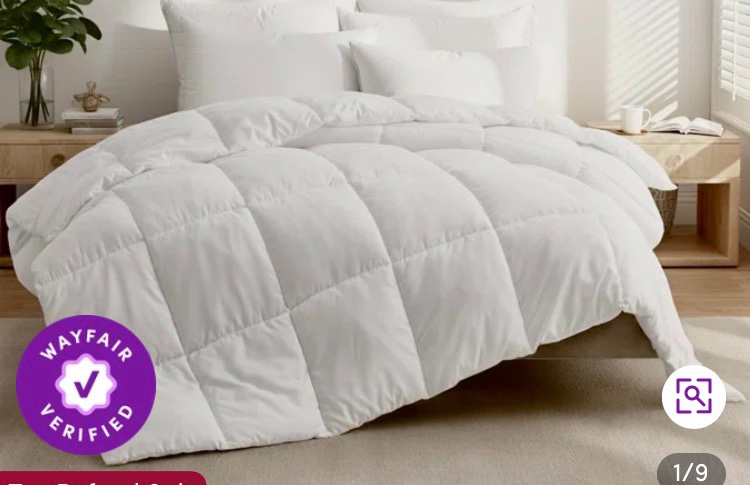 Wayfair Sleep Lightweight Down Alternative comforter ( TWIN)