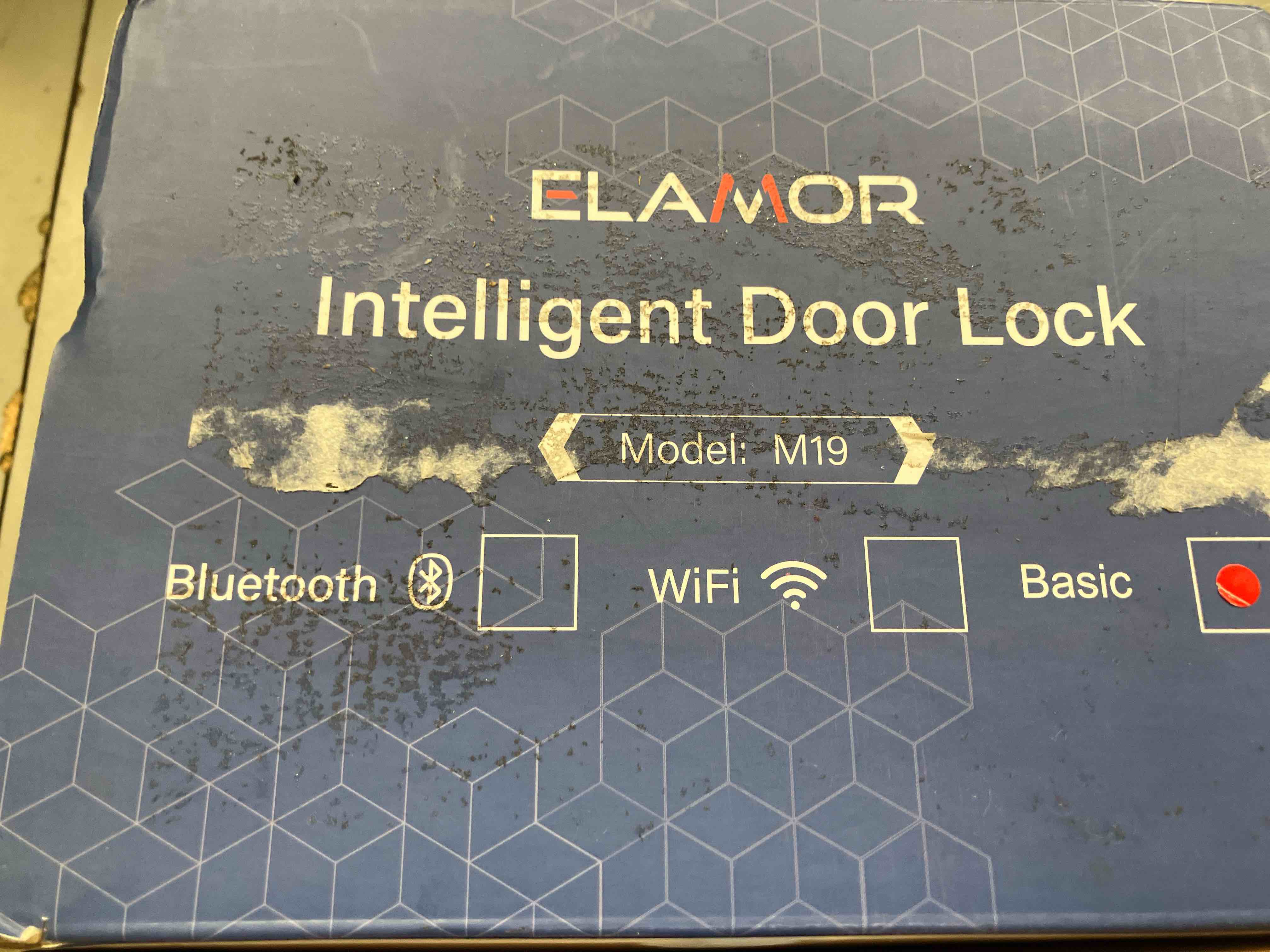 https://s3.amazonaws.com/lotting-images-prod/phillipi/BRN1316159_1752071236889.jpeg