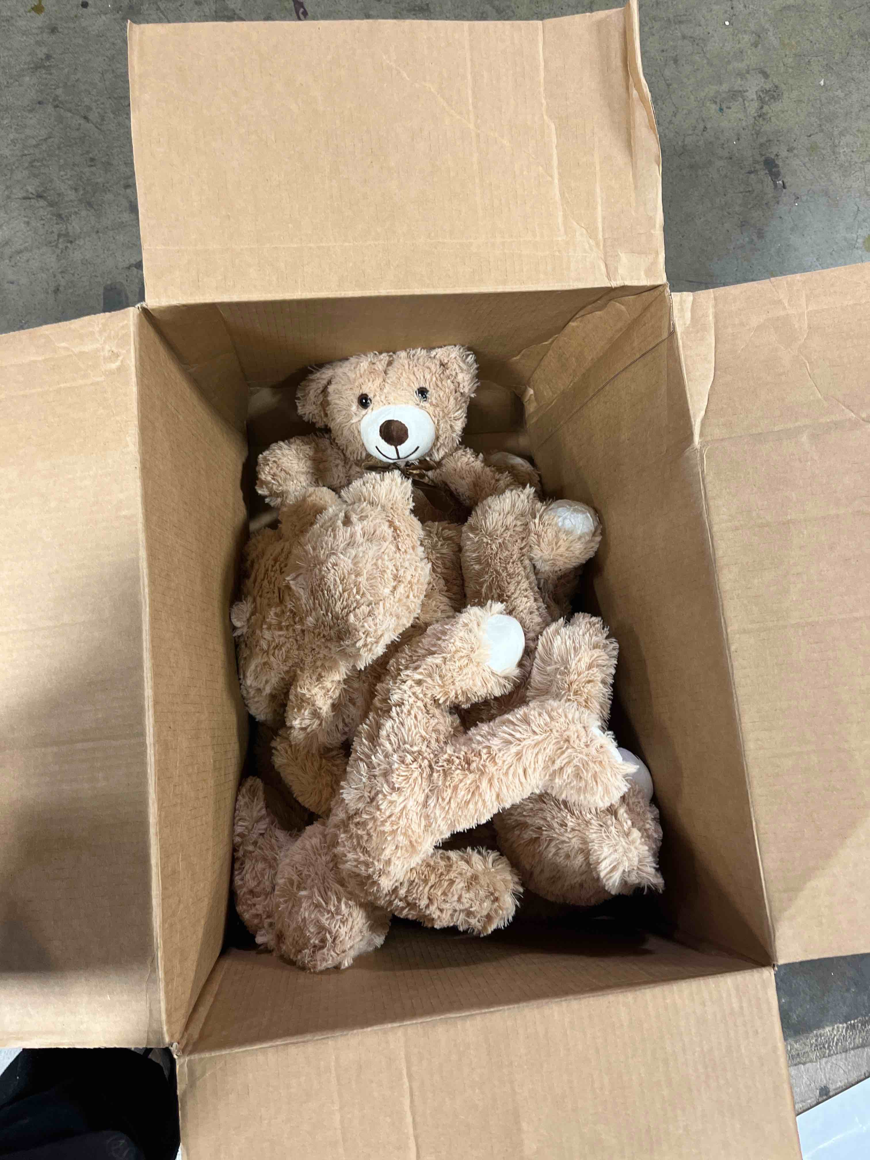 https://s3.amazonaws.com/lotting-images-prod/phillipi/BRN1318776_1759769023470.jpeg