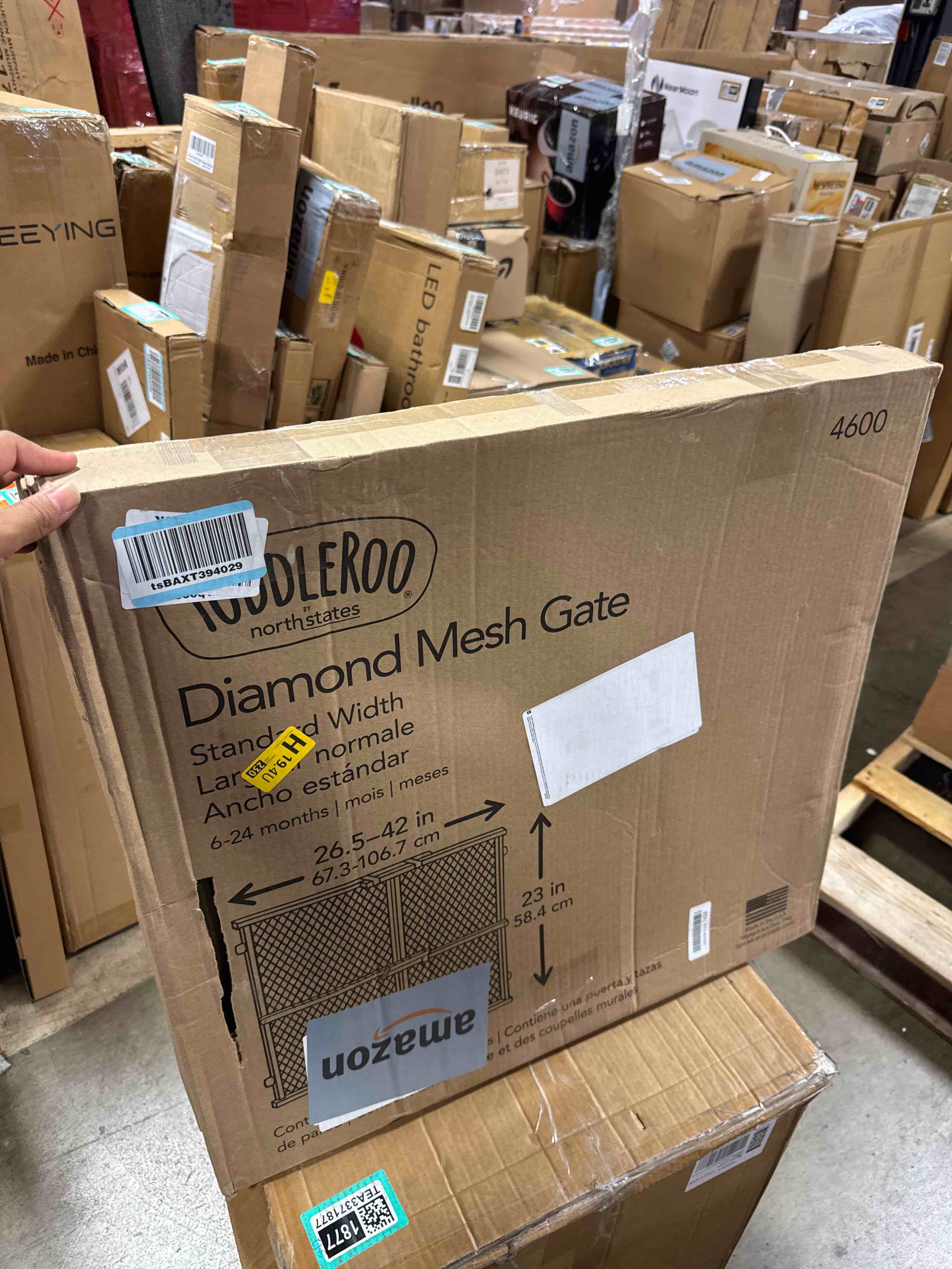 https://s3.amazonaws.com/lotting-images-prod/phillipi/BRN1318914_1760108167542.jpeg