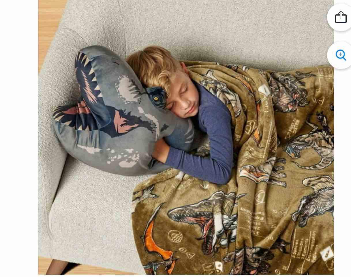 Licensed Character Hand Warmer and Throw Blanket Set