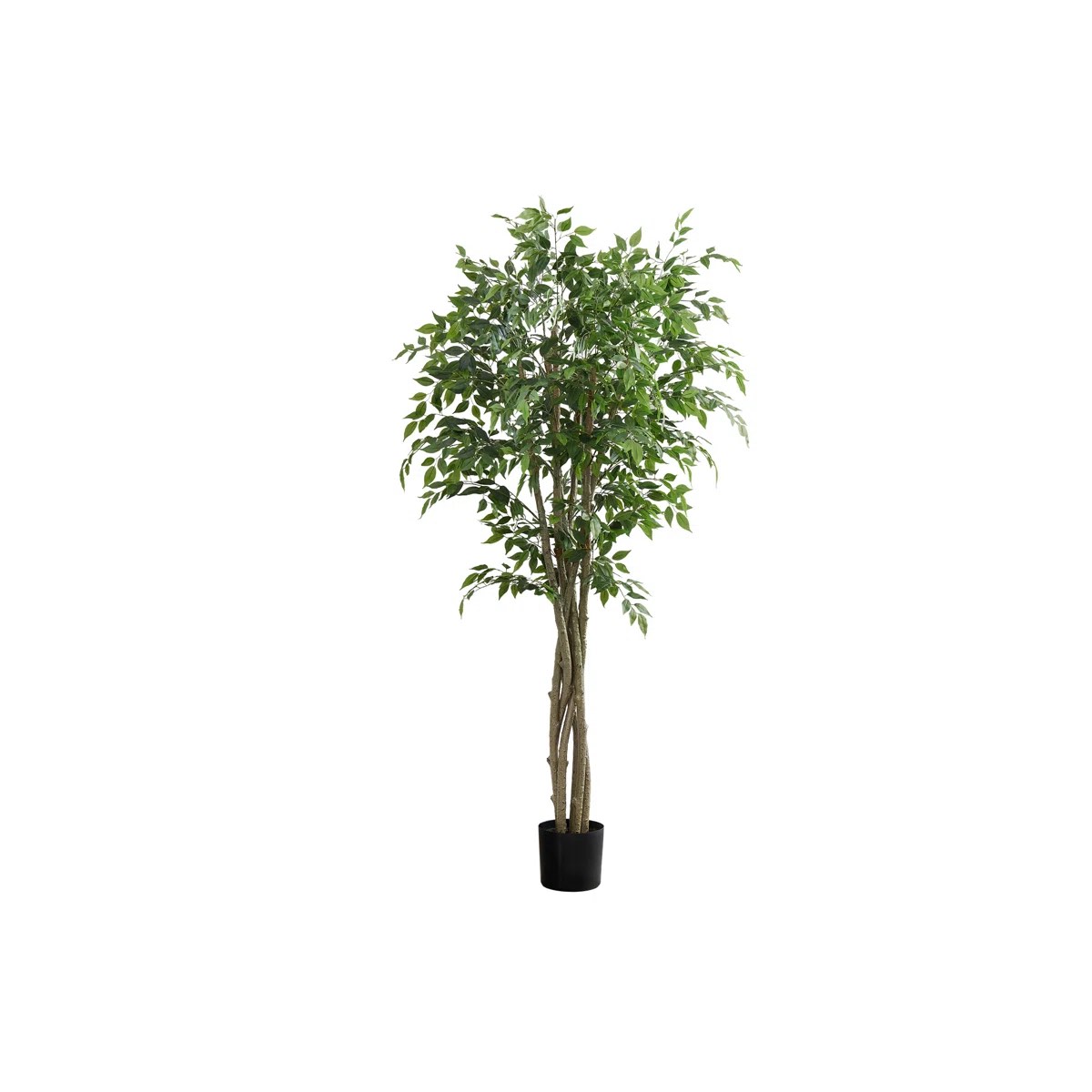 Condition photo showing New/Like New for ficus artificial tree - 80-inch potted faux silk tree with natural looking leaves for office or home decor - realistic indoor plants by pure garden