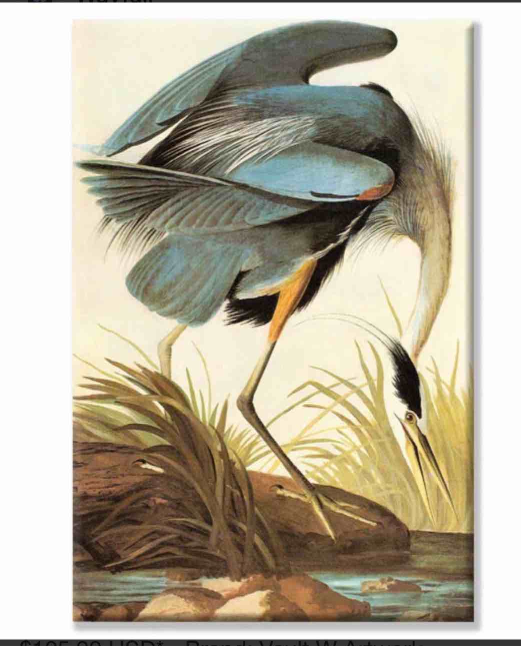 Condition photo showing New/Like New for great blue heron painting print on wrapped canvas