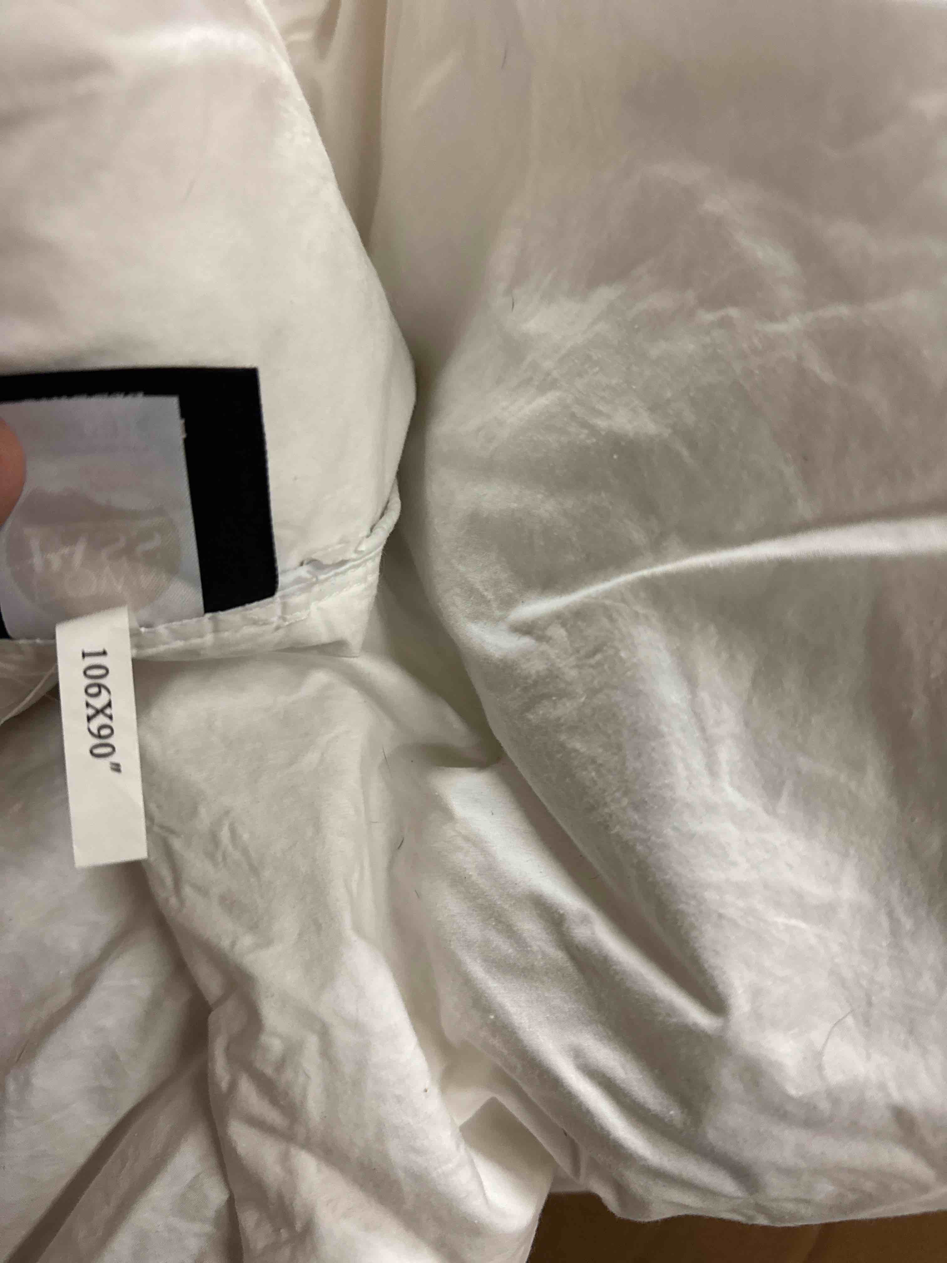 https://s3.amazonaws.com/lotting-images-prod/phillipi/BRN1816839_1777457366246.jpeg