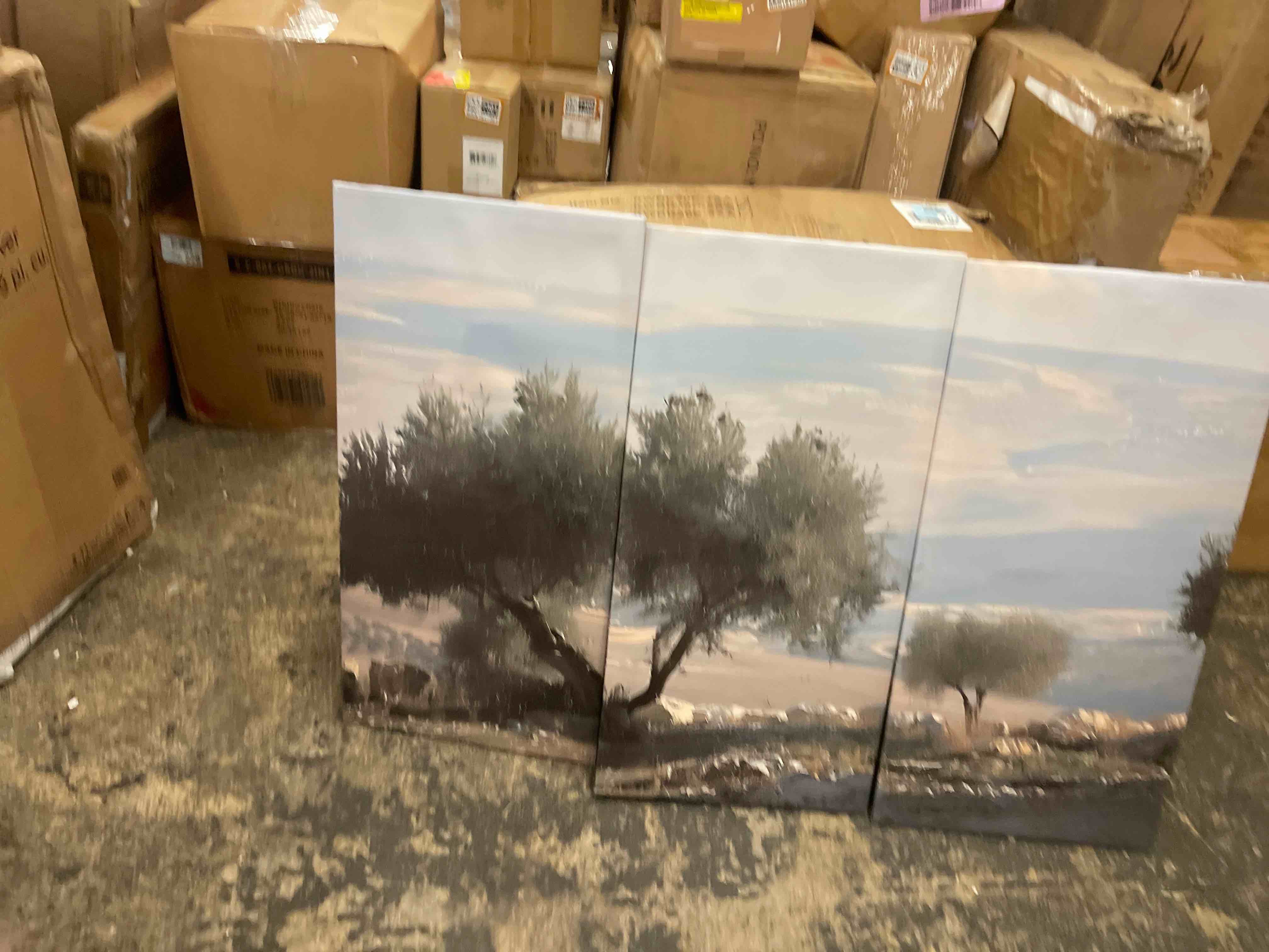 Condition photo showing New/Like New for 3 piece canvas wall art prints picture landscape olive trees palestine olives pictures framed wall painting modern artwork poster home decor for living room office ready to hang
