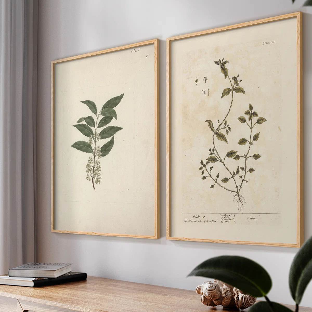 Condition photo showing New/Like New for " vintage floral xix " 2 - pieces (set of 2)
