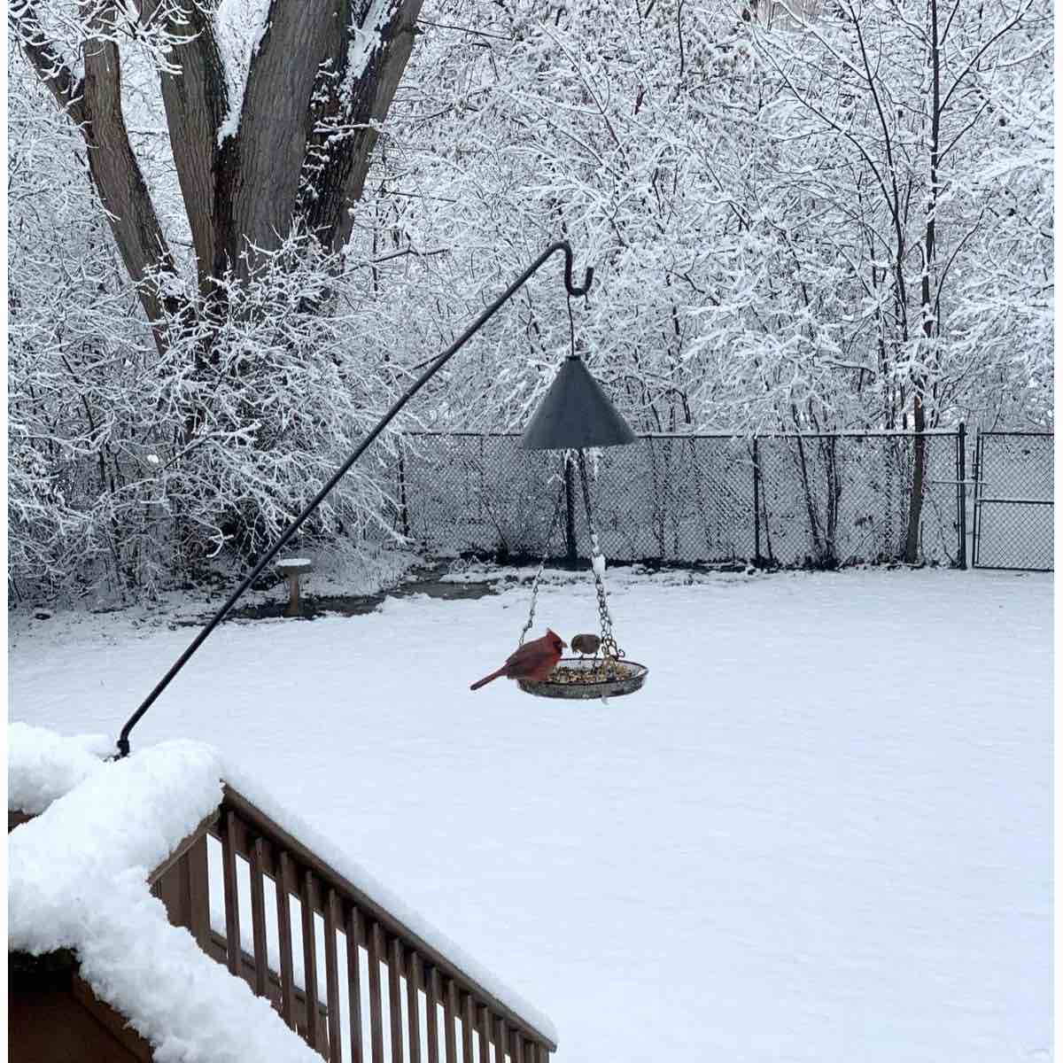 Condition photo showing New/Like New for heavy duty extensible adjustable deck hooks for hanging bird feeders, plants, suet baskets, wind chimes, lanterns