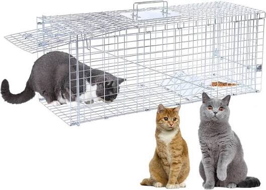 32” humane animal trap, live animal trap cage for stray cats, raccoons, squirrels, rabbits, moles, groundhogs, armadillos up to 16.5 lbs, galvanized rustproof live animal cage trap
