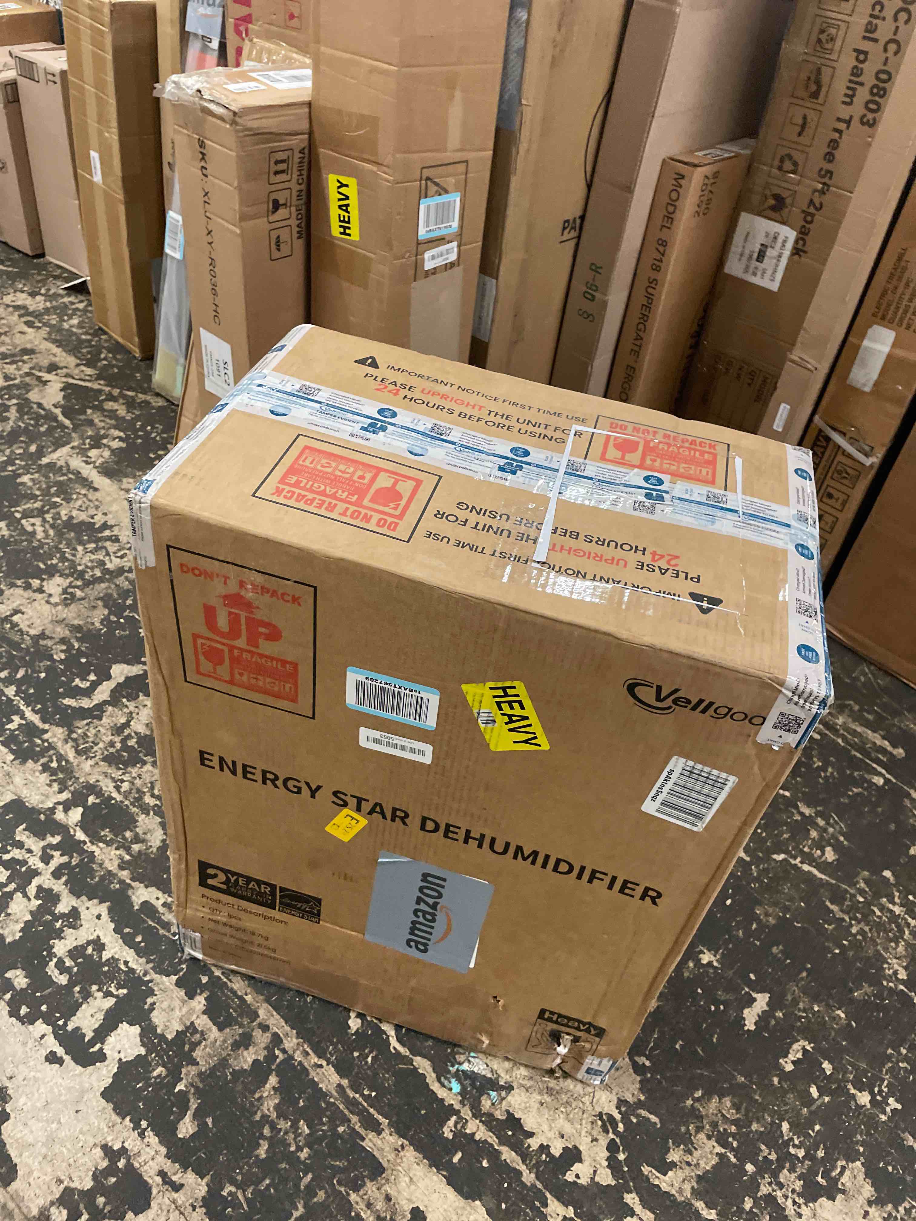 https://s3.amazonaws.com/lotting-images-prod/phillipi/BRN1822255_1754445289674.jpeg