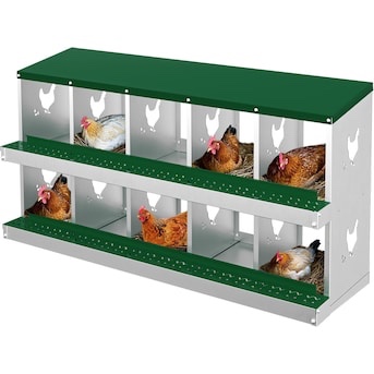 Qeetex 10-Hole Green Chicken Nesting Box Chicken Nesting Box with Legs Metal Chickens Laying Boxes with Perch Metal Roll Away Eggs Laying Boxes Versatile Wall Mount for Chickens