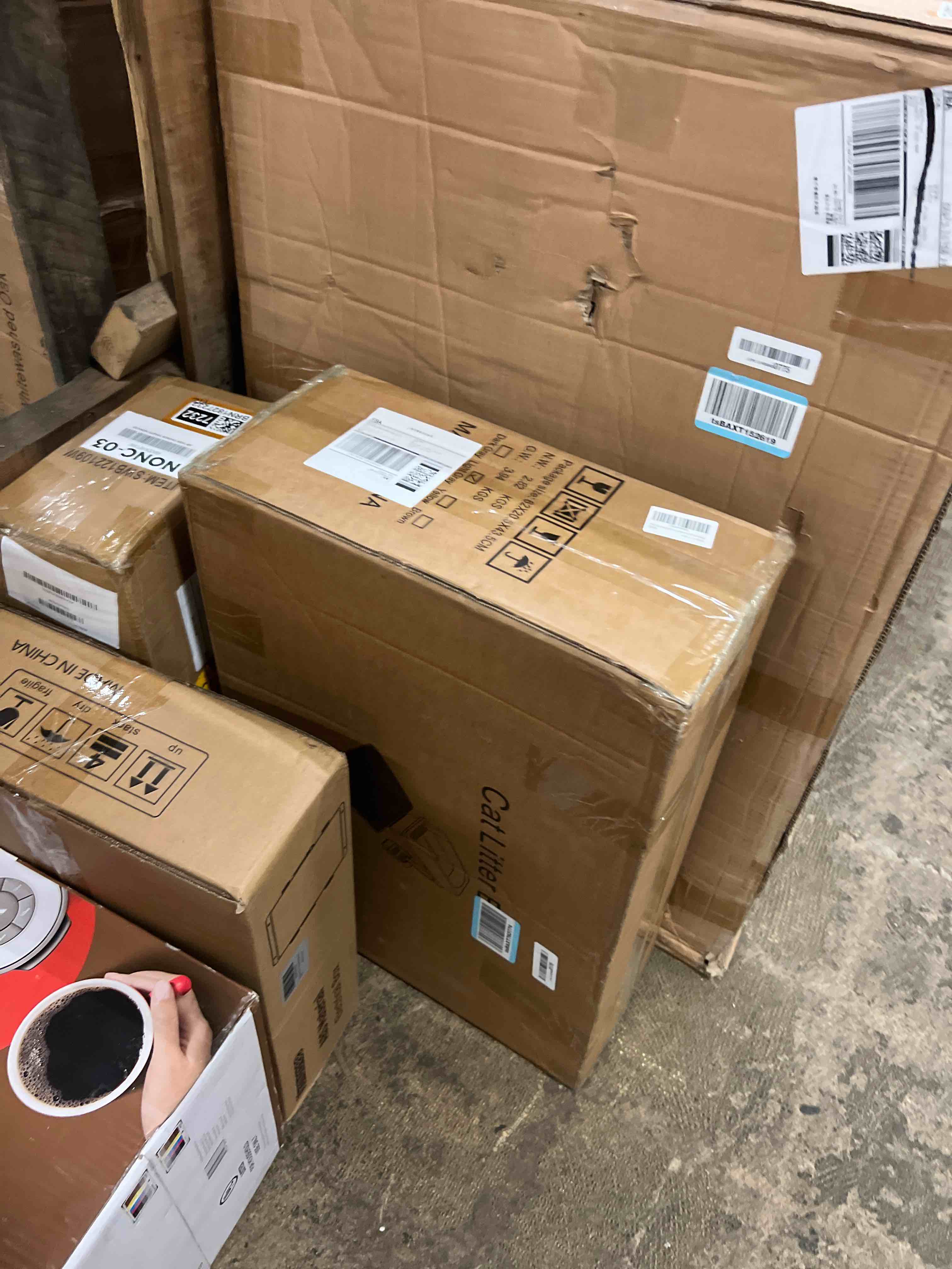 https://s3.amazonaws.com/lotting-images-prod/phillipi/BRN1827234_1778002501235.jpeg