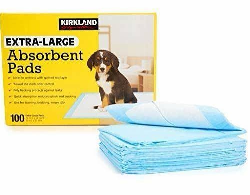 kirkland signature absorbent training pads extra-large x 100