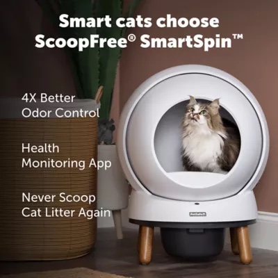 https://s3.amazonaws.com/lotting-images-prod/phillipi/BRN1832223_1760555872586.jpeg