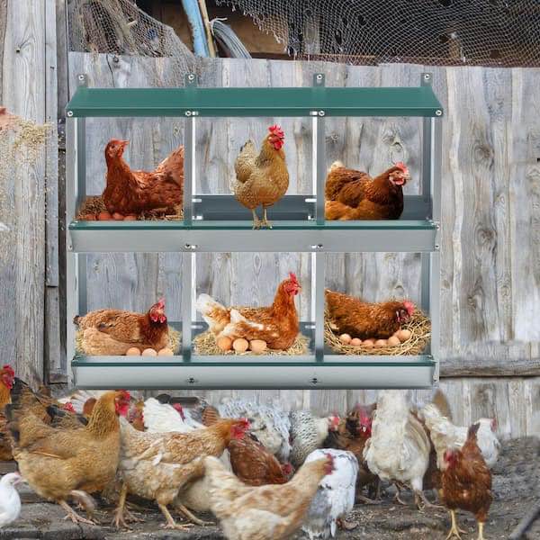 33 in. Metal Nesting Boxes for Chicken, 6-Compartment Nesting Box, Galvanized Steel Nesting Boxes for Hens