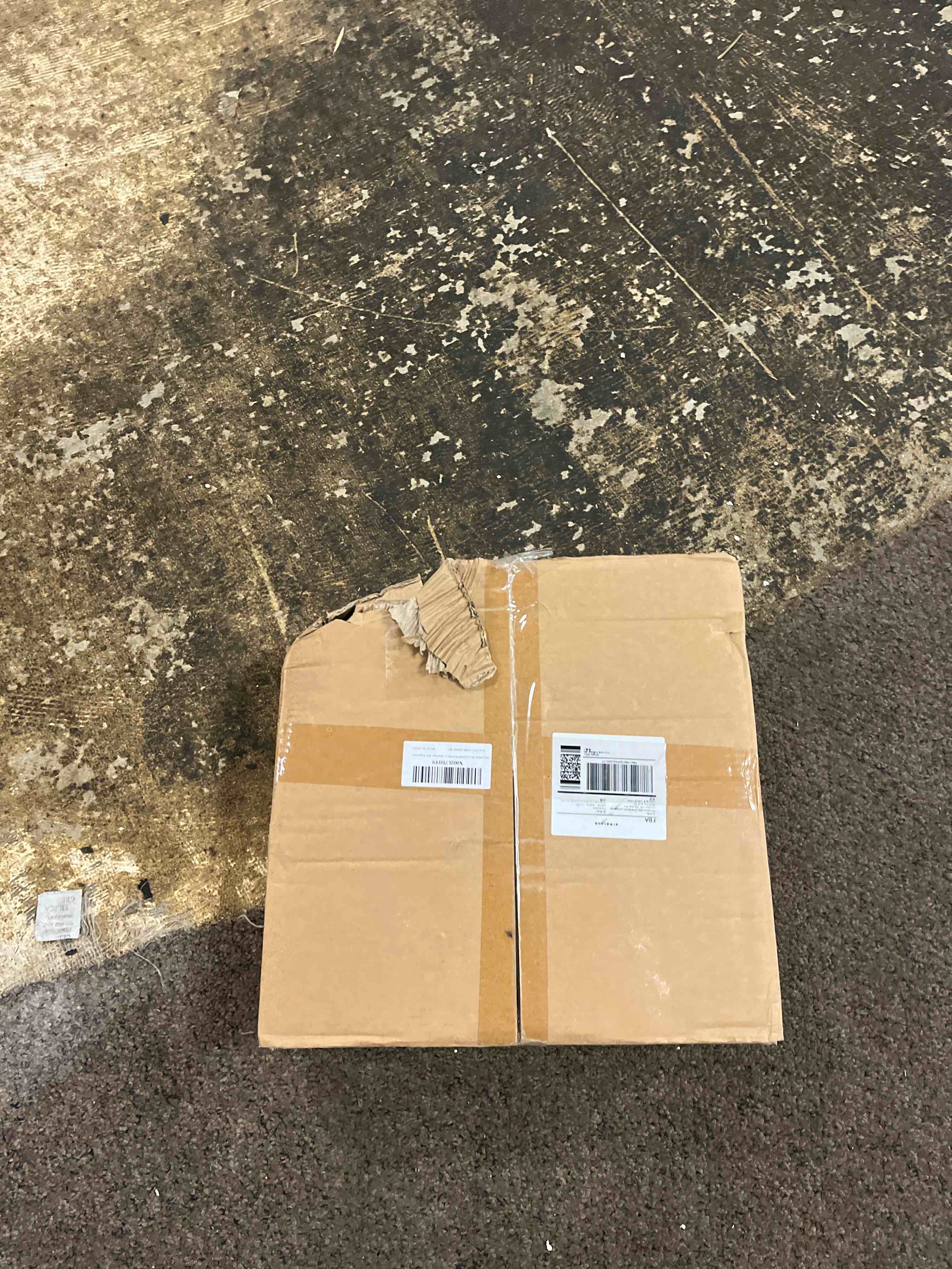 https://s3.amazonaws.com/lotting-images-prod/phillipi/BRN1834228_1752859474025.jpeg