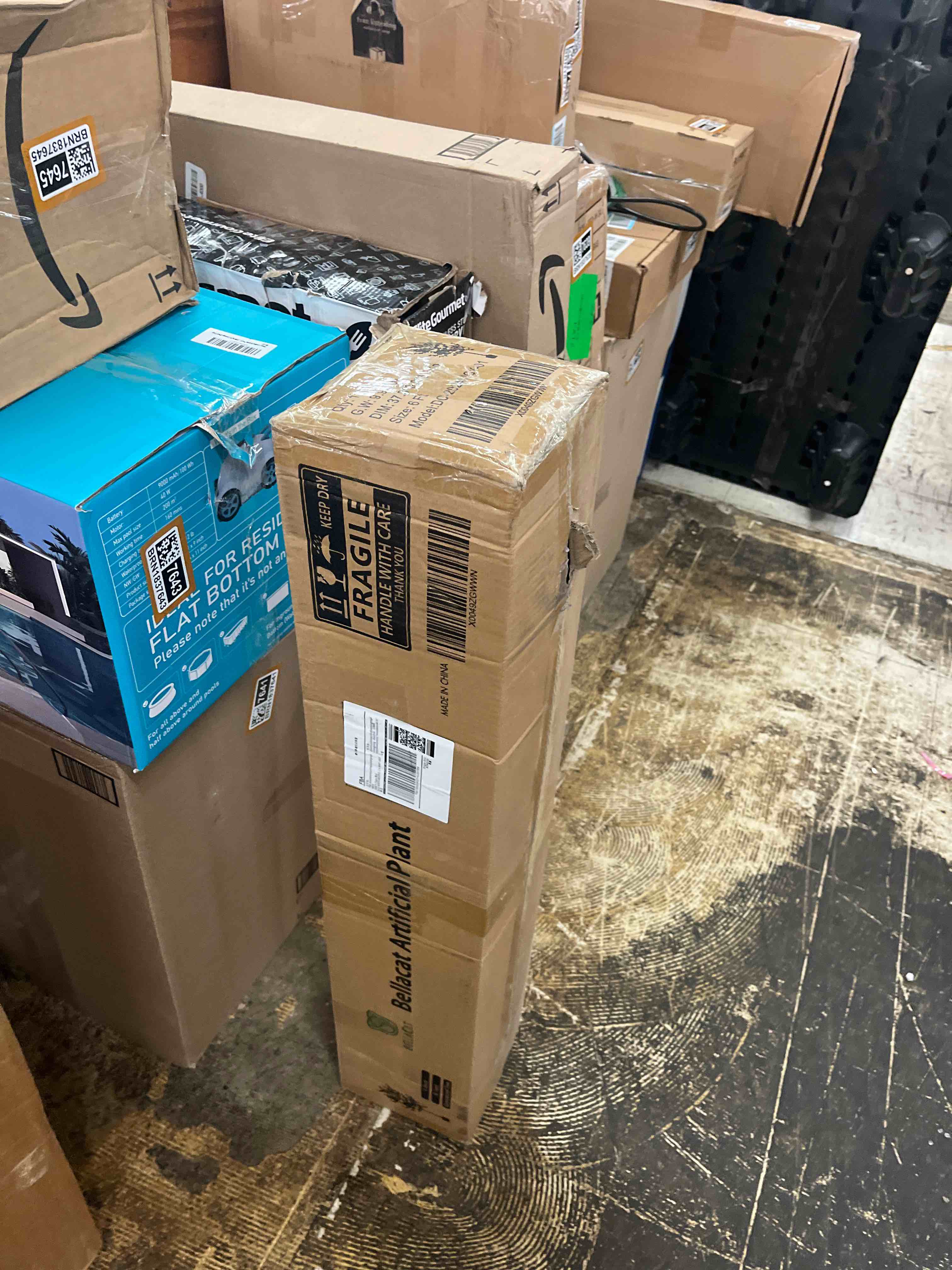https://s3.amazonaws.com/lotting-images-prod/phillipi/BRN1837650_1755794471332.jpeg