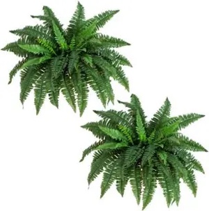 Nearly Natural 40IN Artificial Boston Fern Large Hanging Plant, Set of 2 Artificial Ferns that Look Real for Home Décor