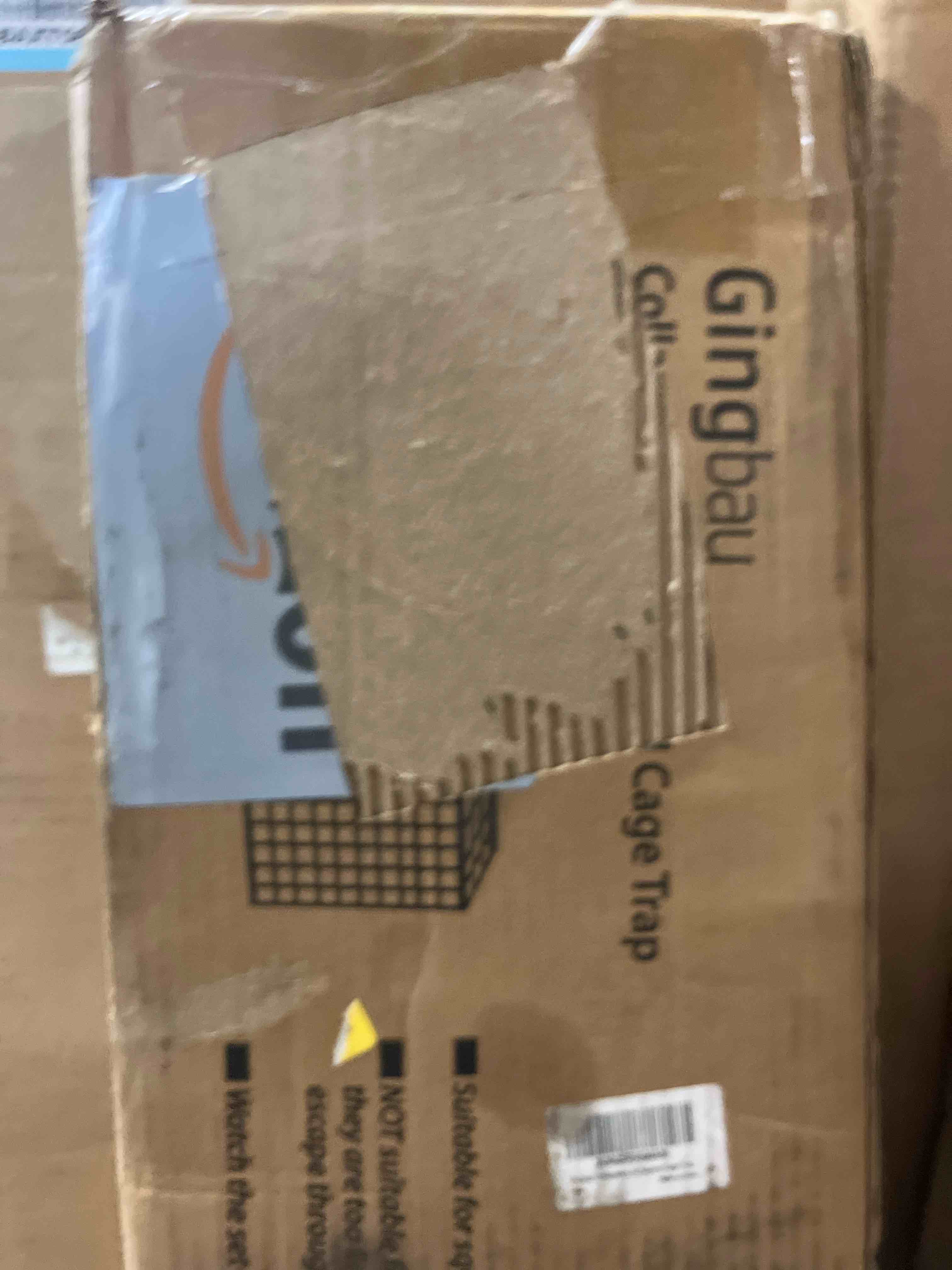 https://s3.amazonaws.com/lotting-images-prod/phillipi/BRN1914255_1753392248278.jpeg