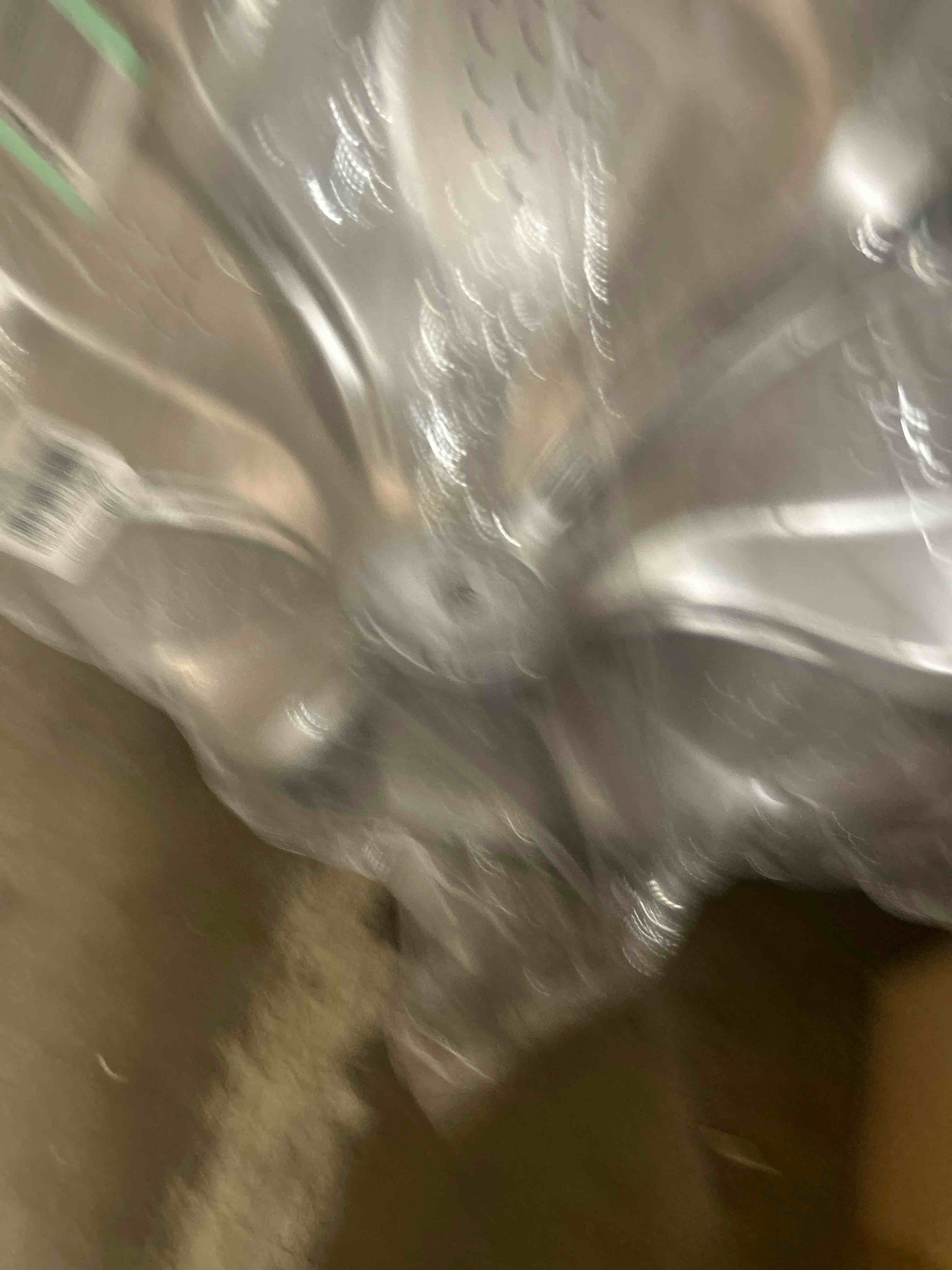 https://s3.amazonaws.com/lotting-images-prod/phillipi/BRN1914364_1753393111745.jpeg