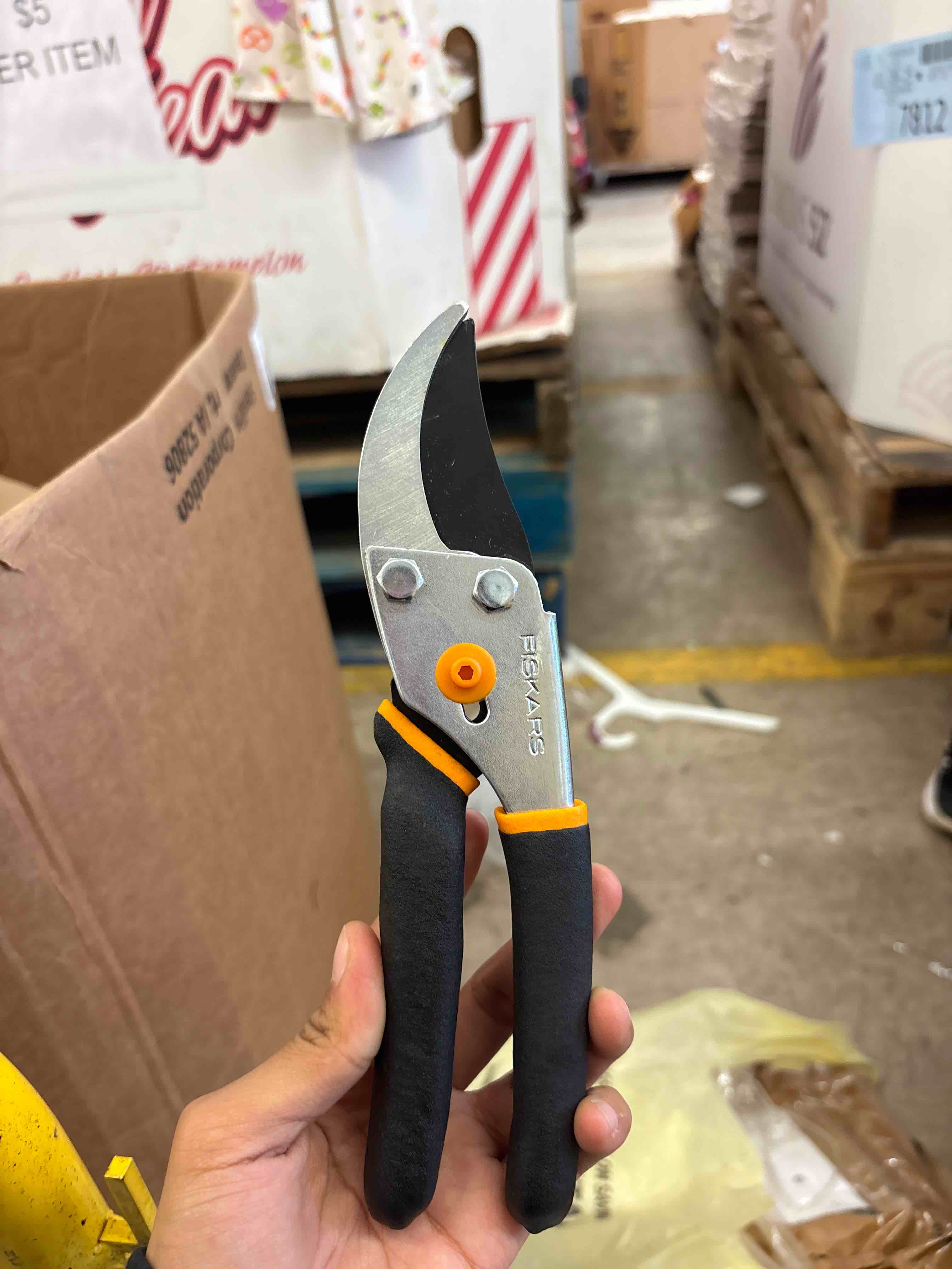 https://s3.amazonaws.com/lotting-images-prod/phillipi/BRN1916719_1749666015379.jpeg
