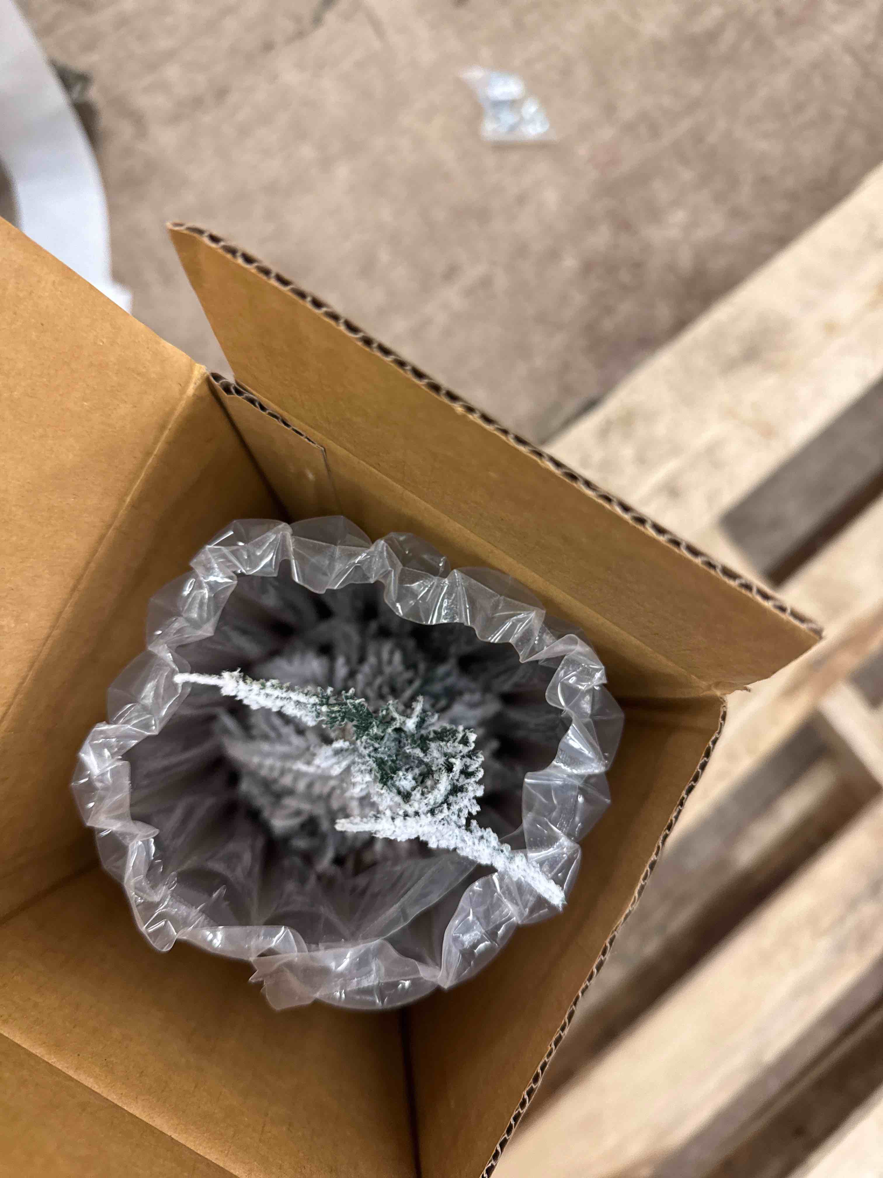 https://s3.amazonaws.com/lotting-images-prod/phillipi/BRN1918183_1745669896413.jpeg