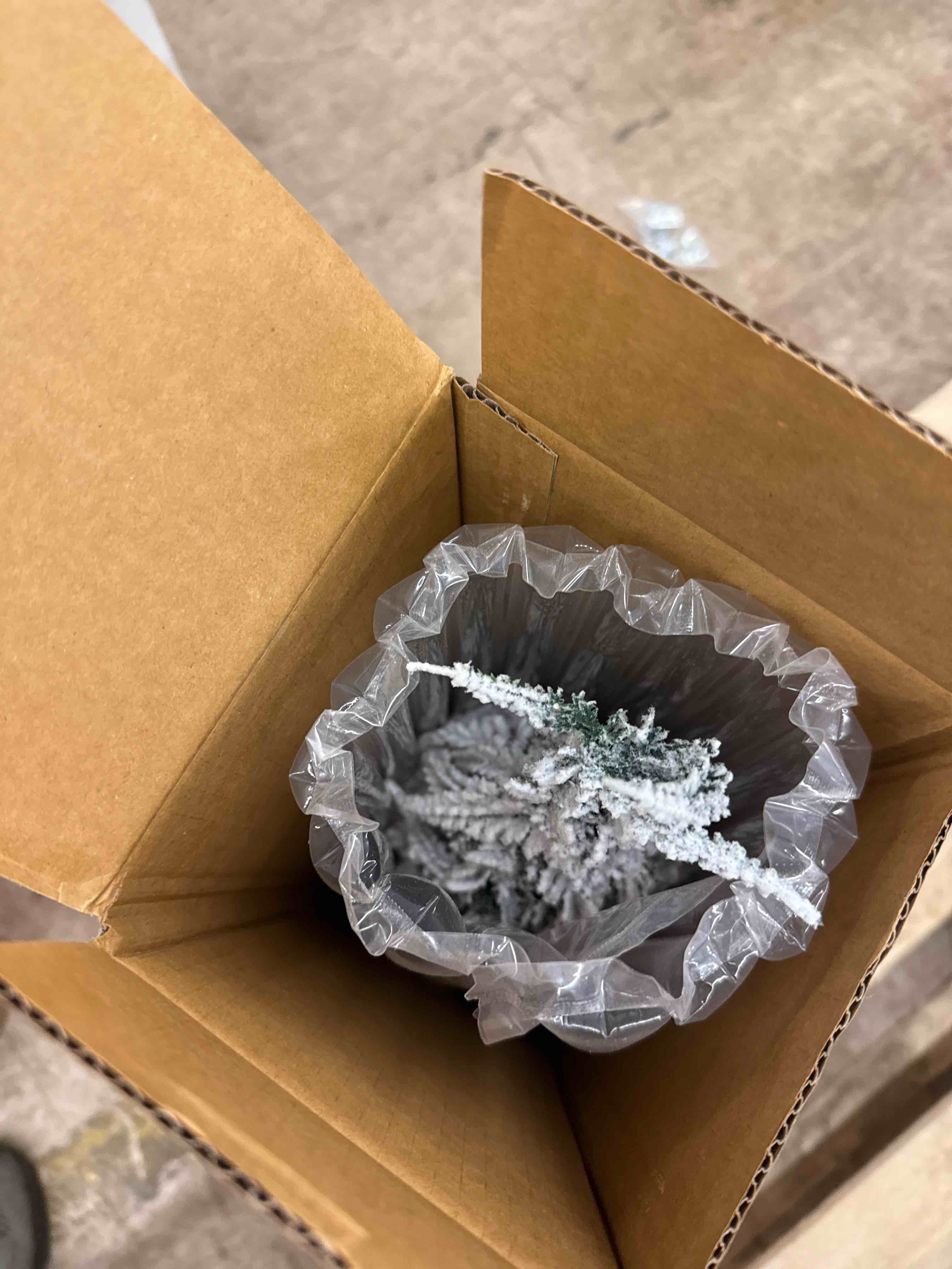 https://s3.amazonaws.com/lotting-images-prod/phillipi/BRN1918183_1745669897379.jpeg