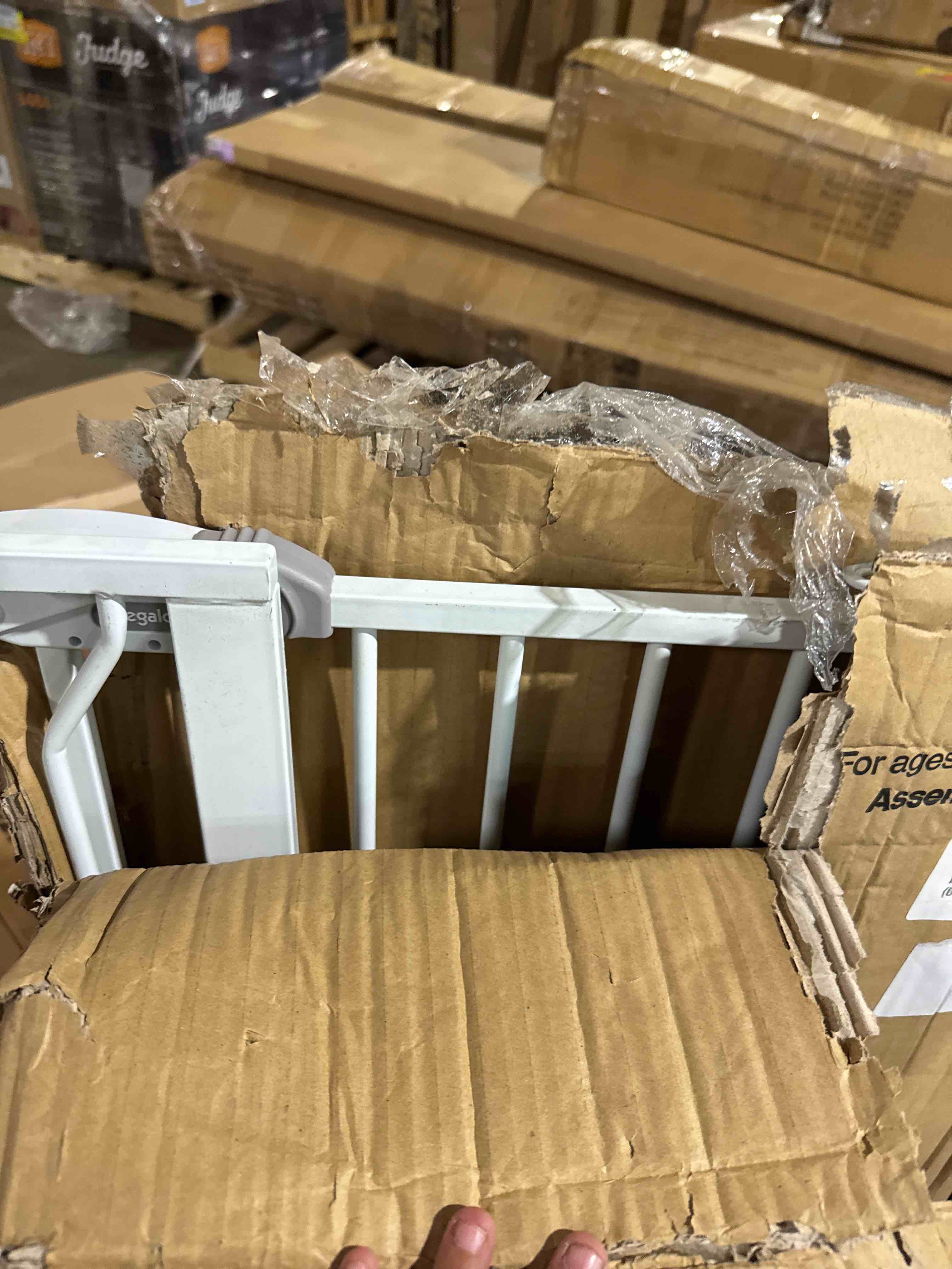 https://s3.amazonaws.com/lotting-images-prod/phillipi/BRN1920161_1750780362664.jpeg