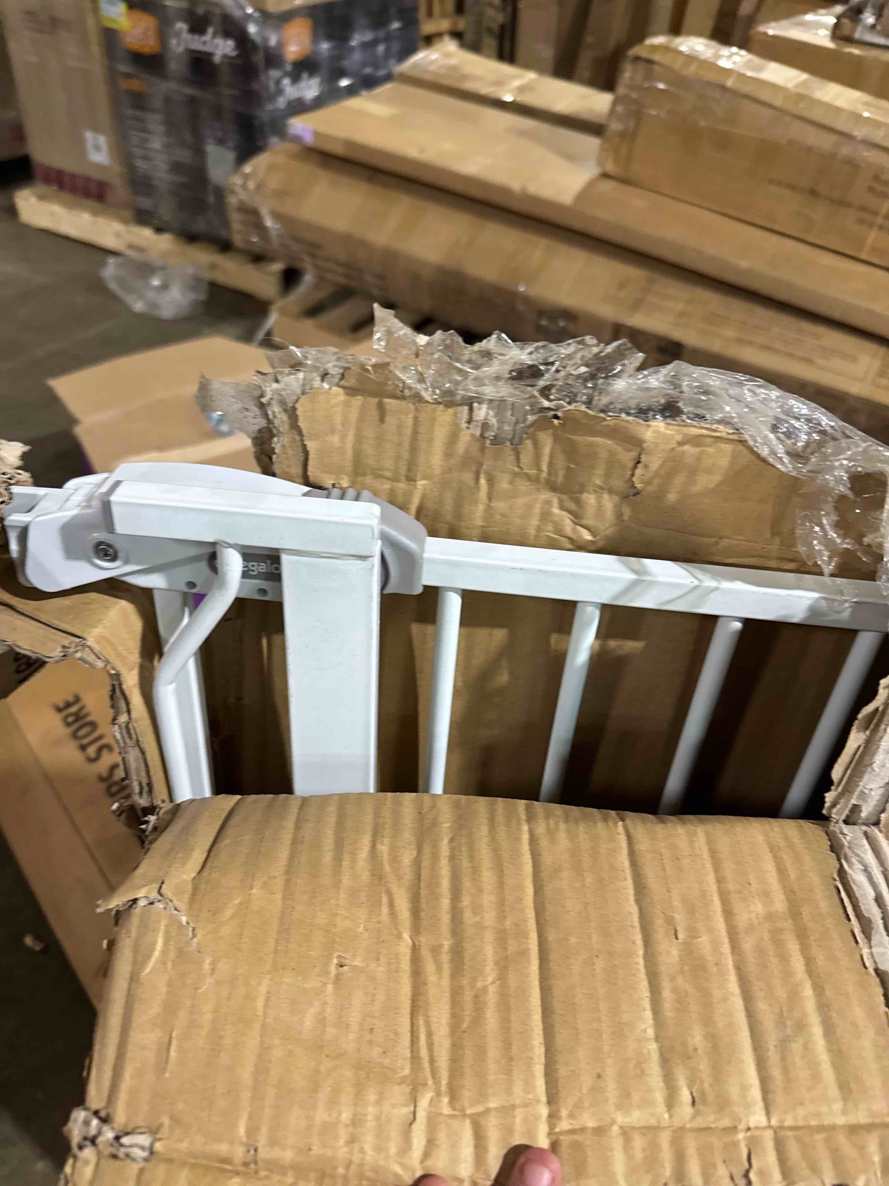 https://s3.amazonaws.com/lotting-images-prod/phillipi/BRN1920161_1750780363499.jpeg