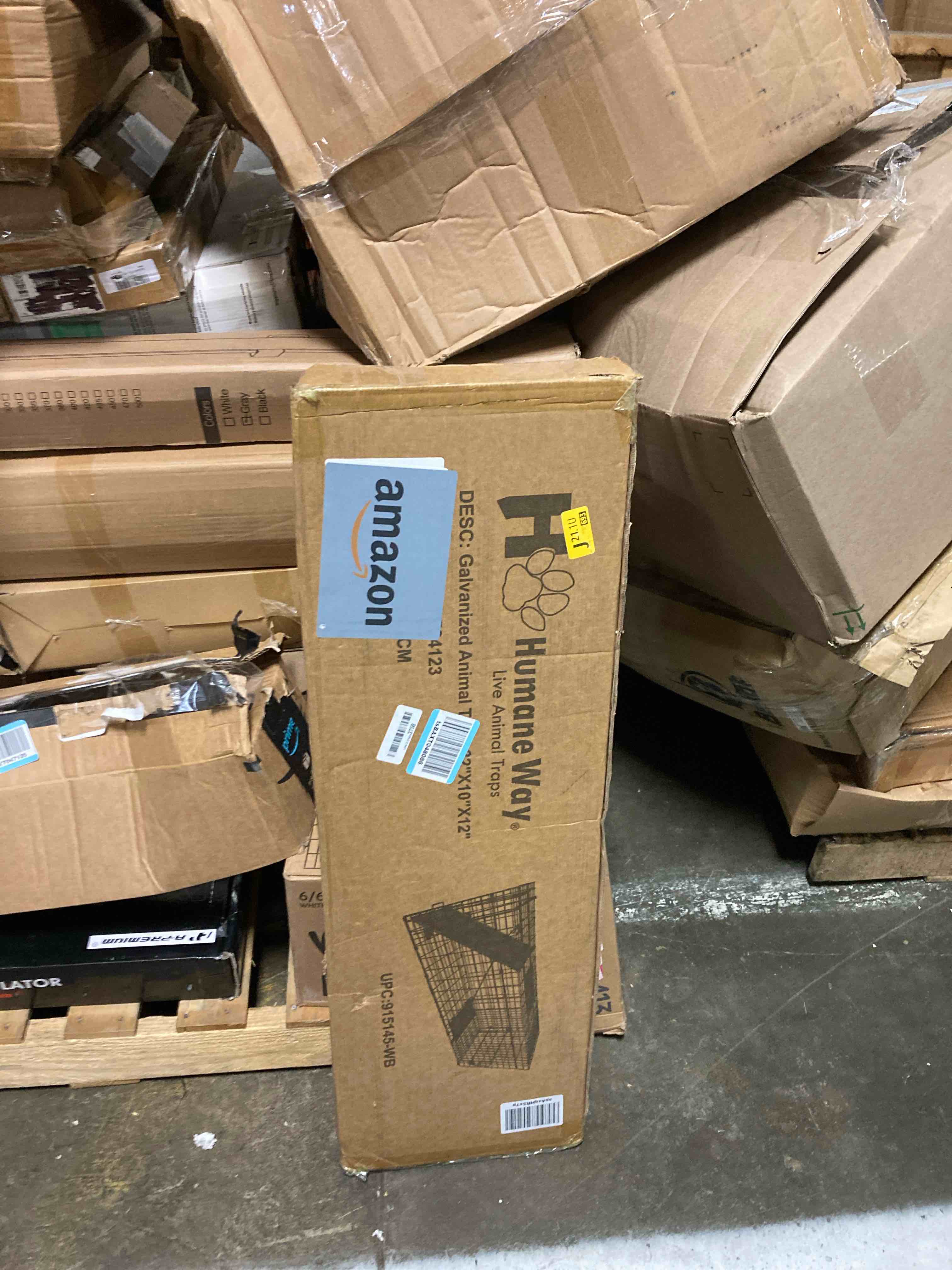 https://s3.amazonaws.com/lotting-images-prod/phillipi/BRN1920883_1753905920175.jpeg