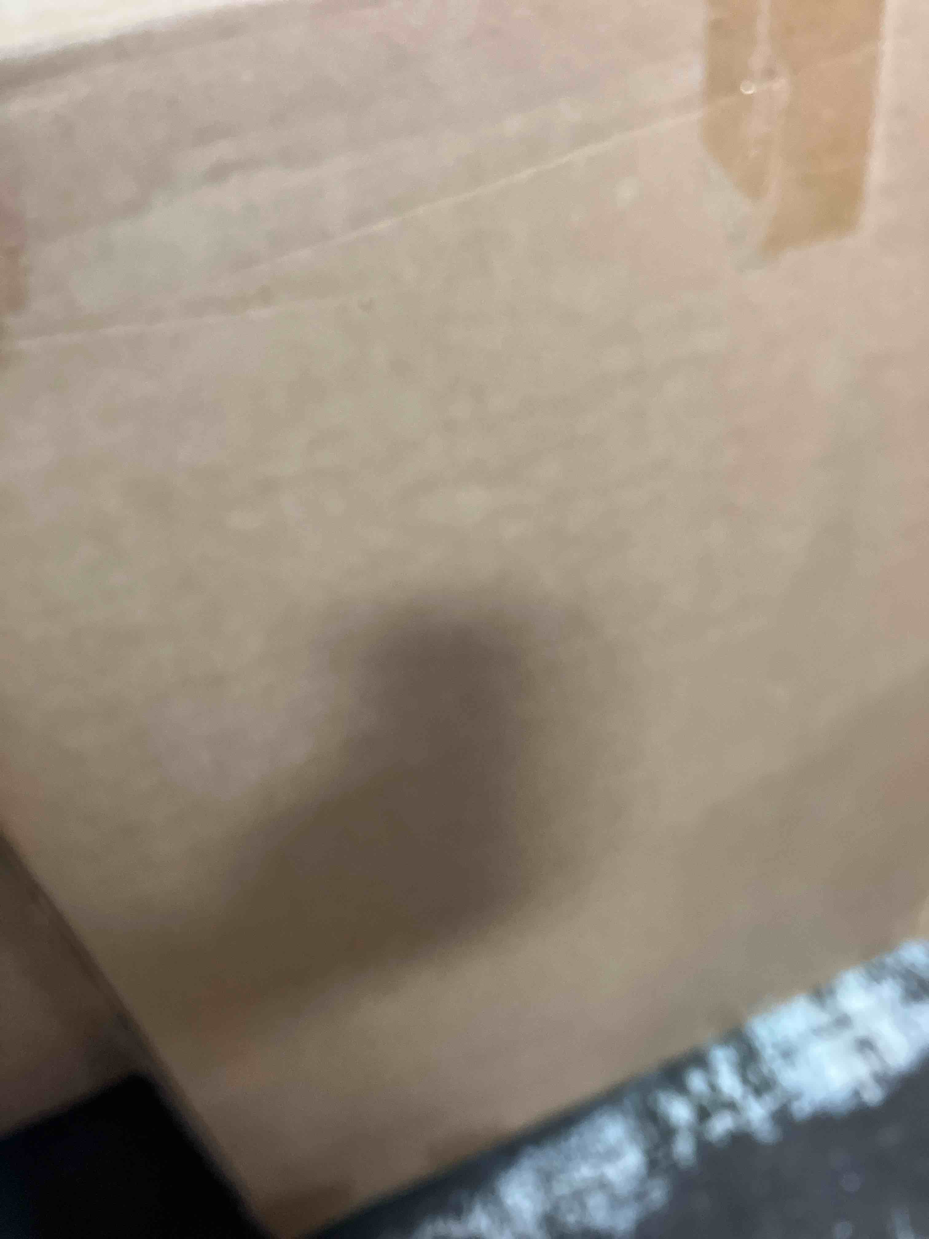 https://s3.amazonaws.com/lotting-images-prod/phillipi/BRN1921505_1753998816767.jpeg