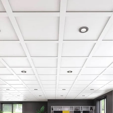 Embassy Ceilings Suspended Ceiling