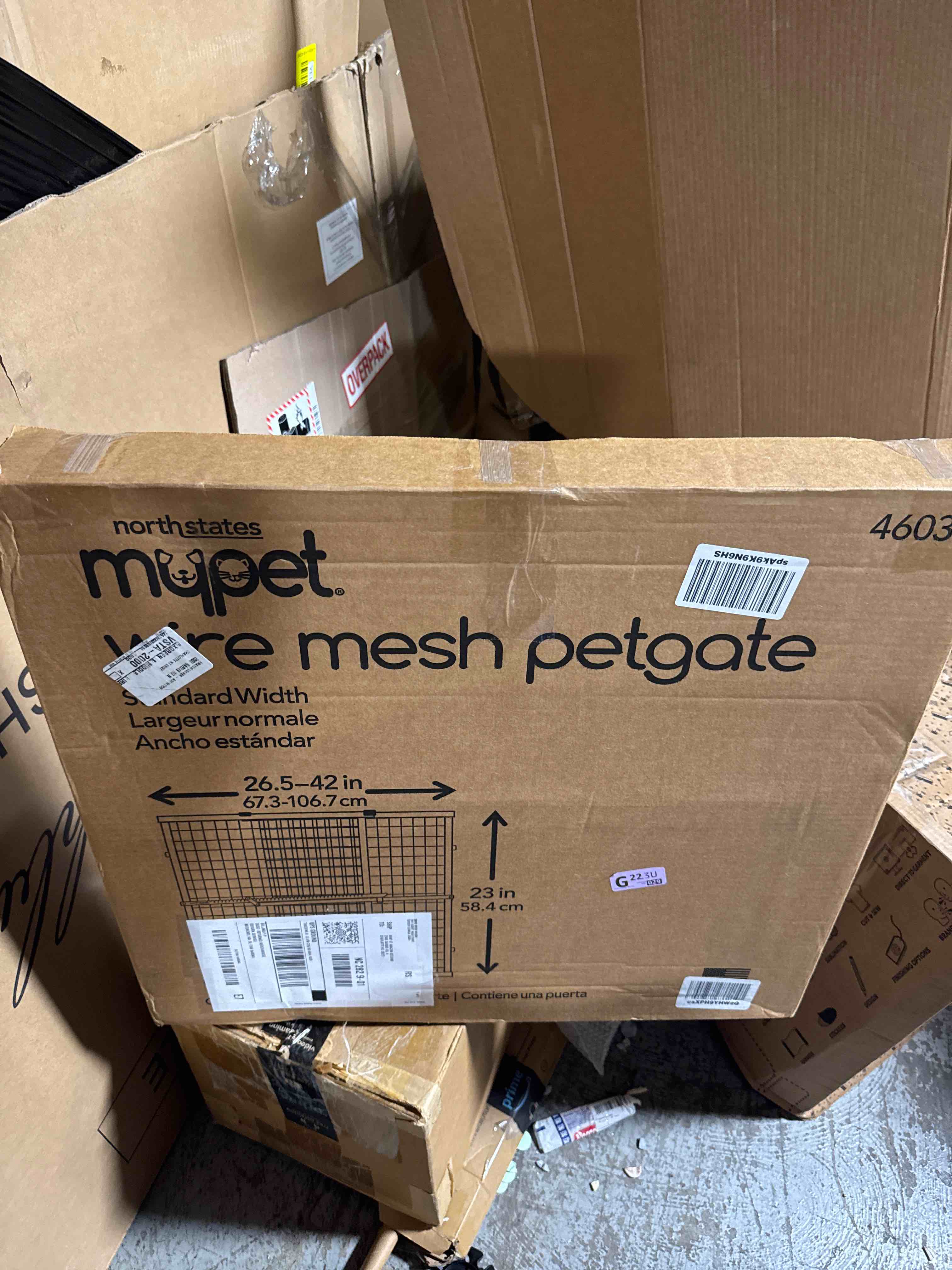 https://s3.amazonaws.com/lotting-images-prod/phillipi/BRN1924065_1752774720626.jpeg