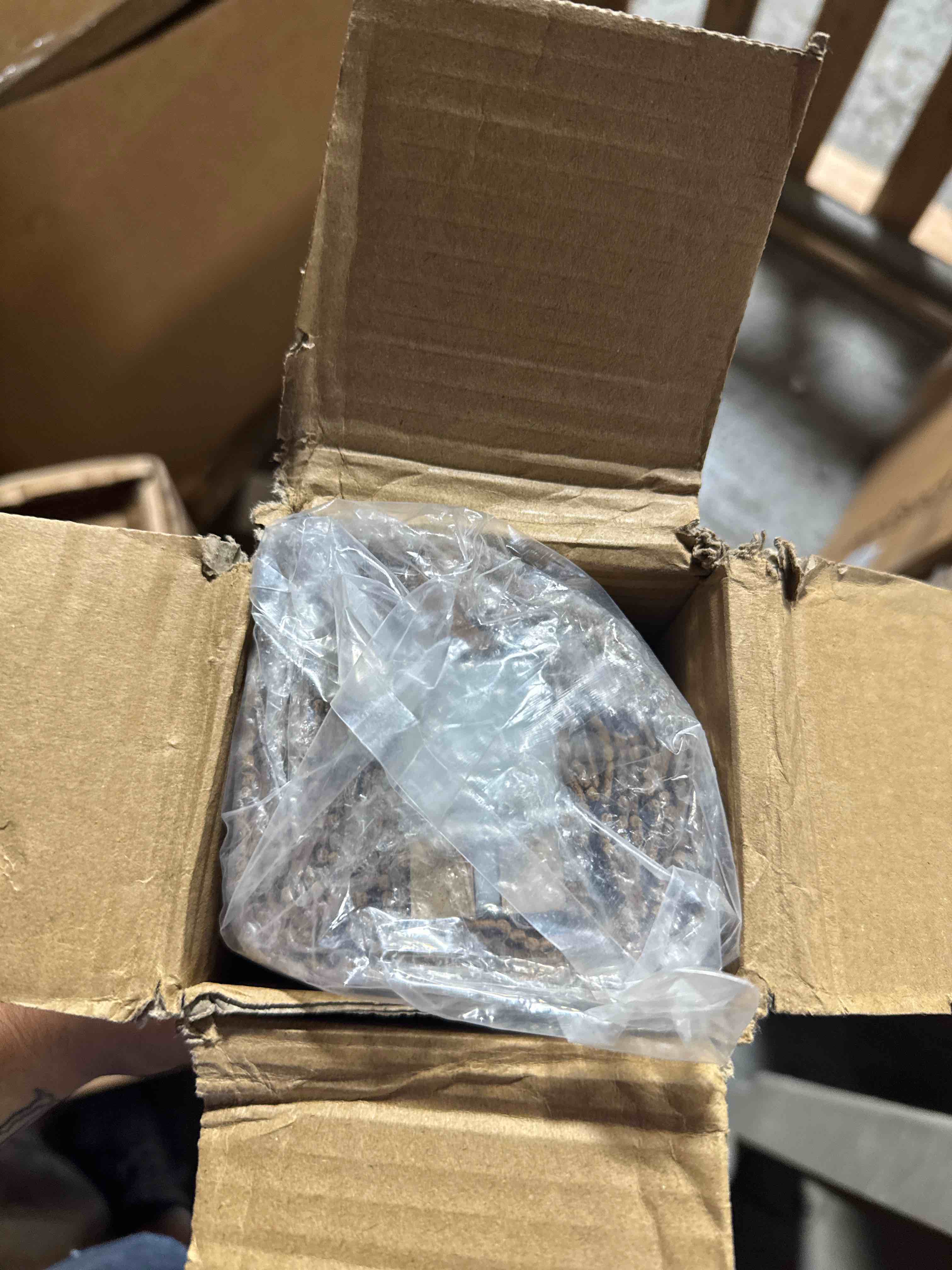 https://s3.amazonaws.com/lotting-images-prod/phillipi/BRN1924068_1752775167167.jpeg