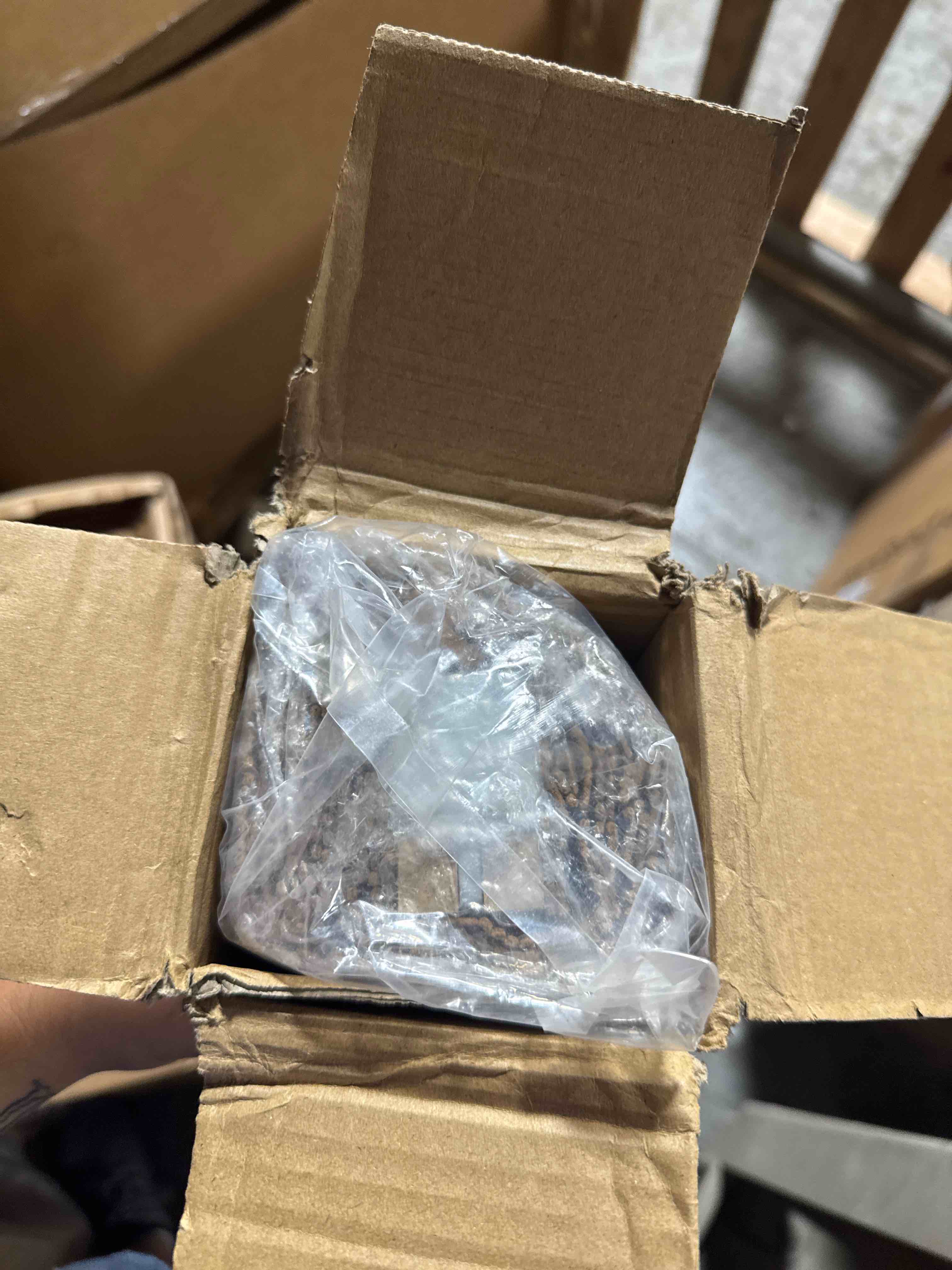 https://s3.amazonaws.com/lotting-images-prod/phillipi/BRN1924068_1752775168141.jpeg