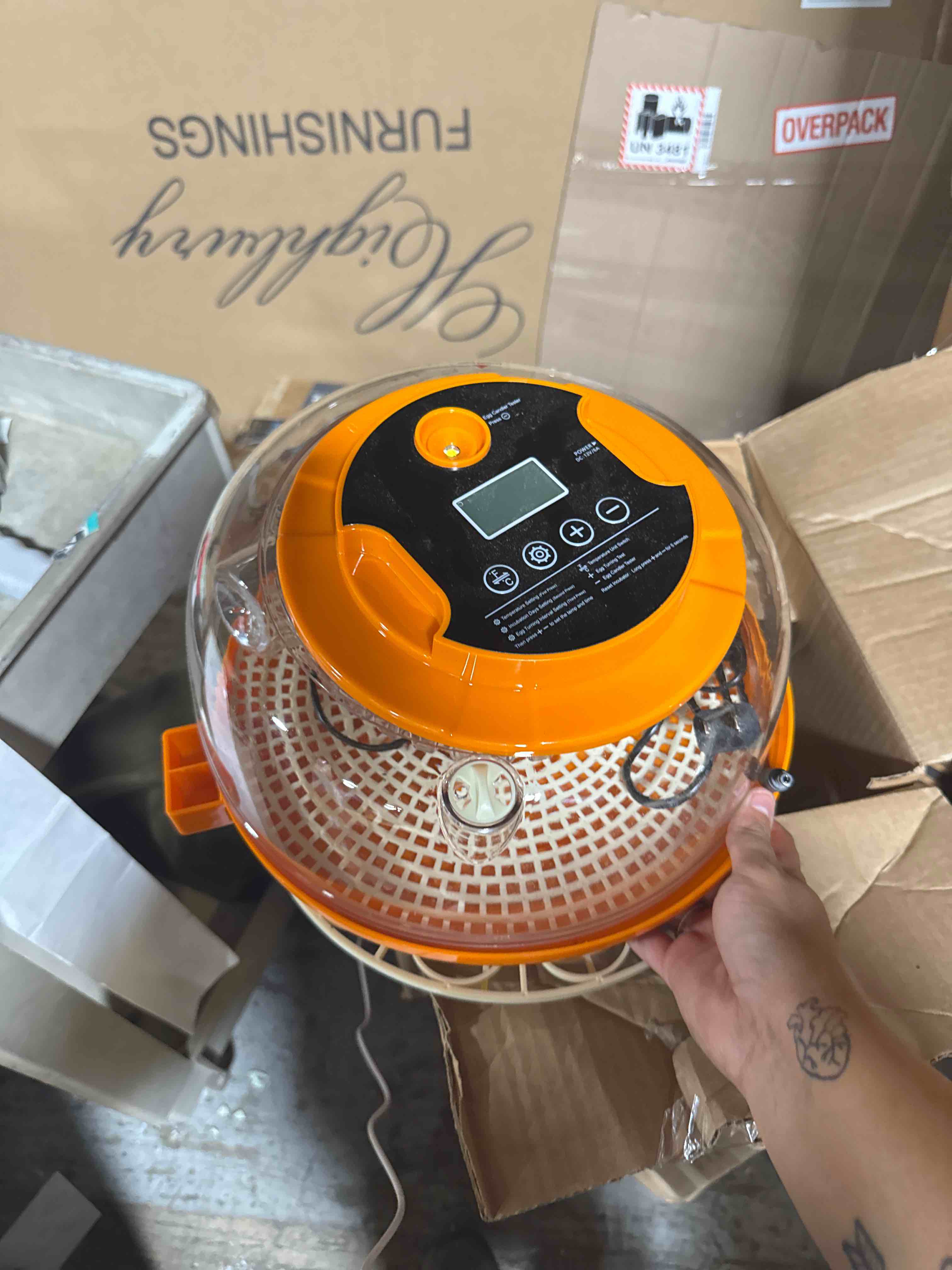 https://s3.amazonaws.com/lotting-images-prod/phillipi/BRN1924070_1752775542904.jpeg