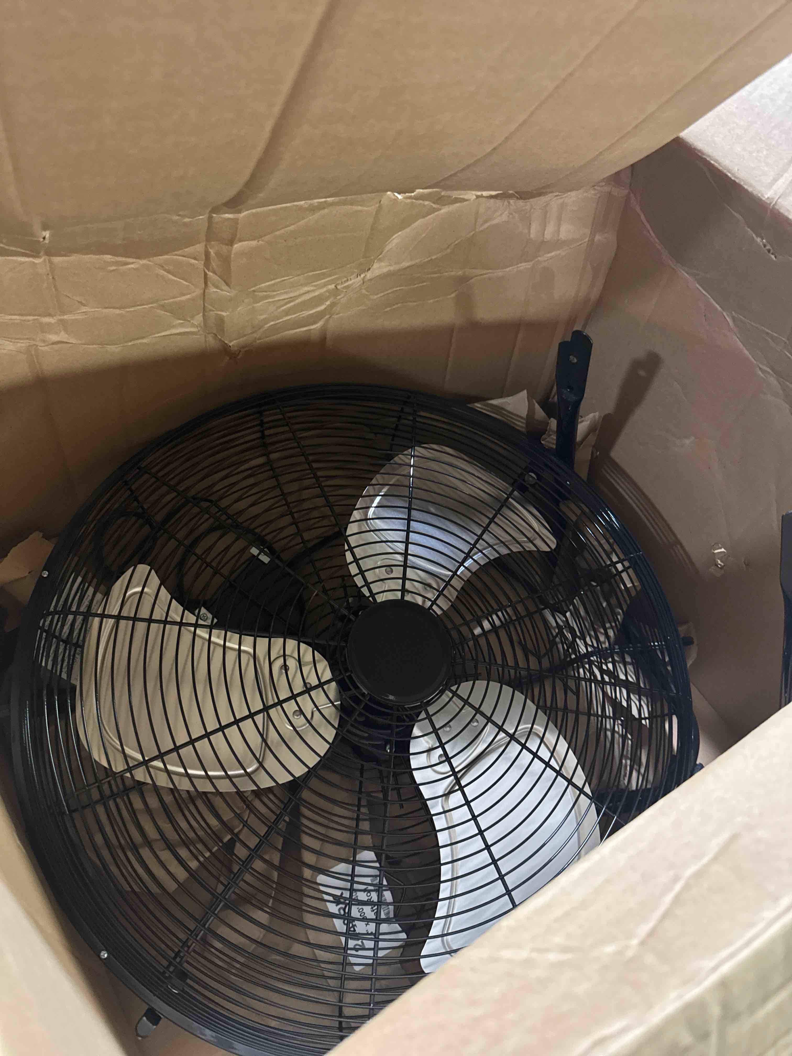 https://s3.amazonaws.com/lotting-images-prod/phillipi/BRN1924198_1753818012434.jpeg