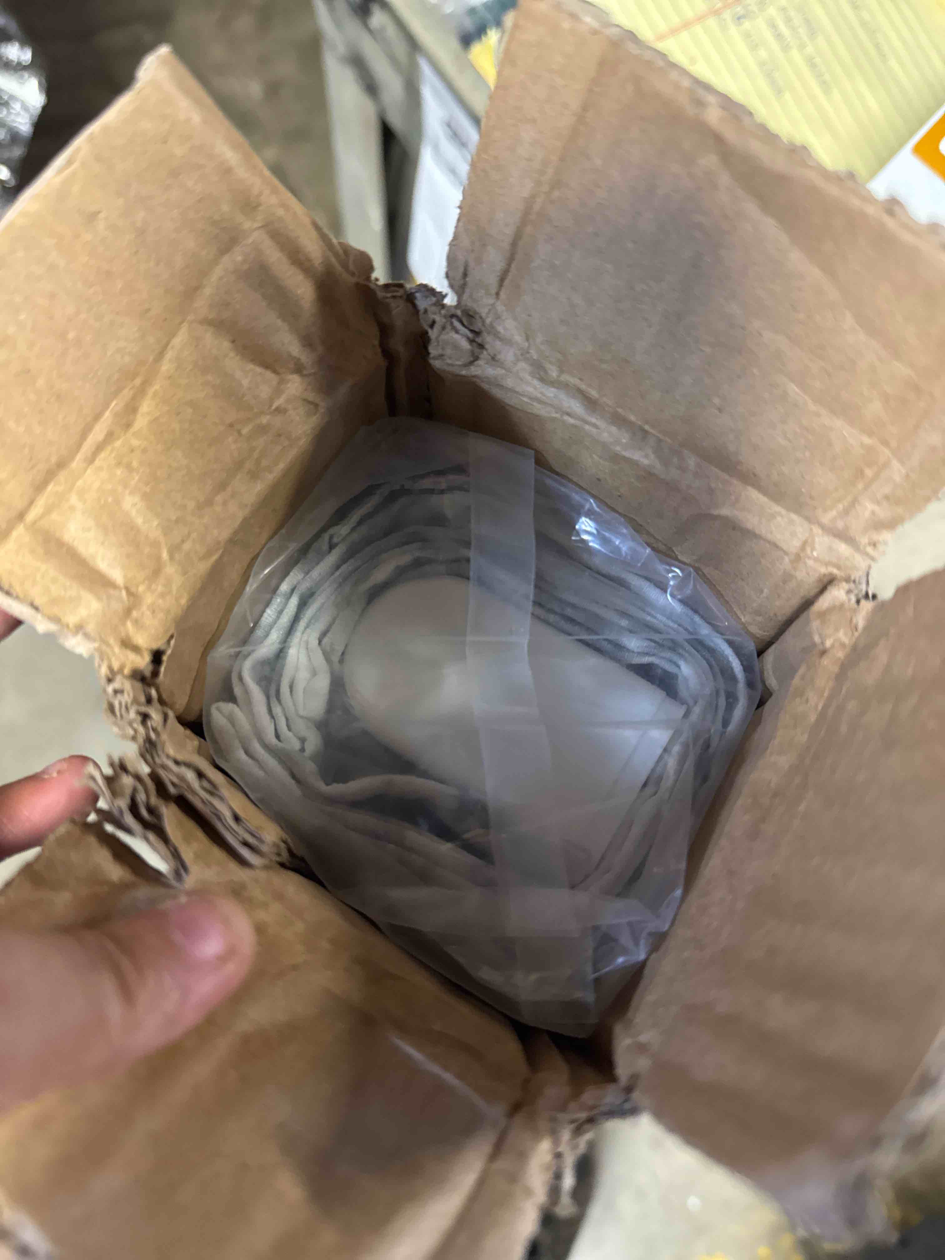 https://s3.amazonaws.com/lotting-images-prod/phillipi/BRN1924939_1755889893099.jpeg