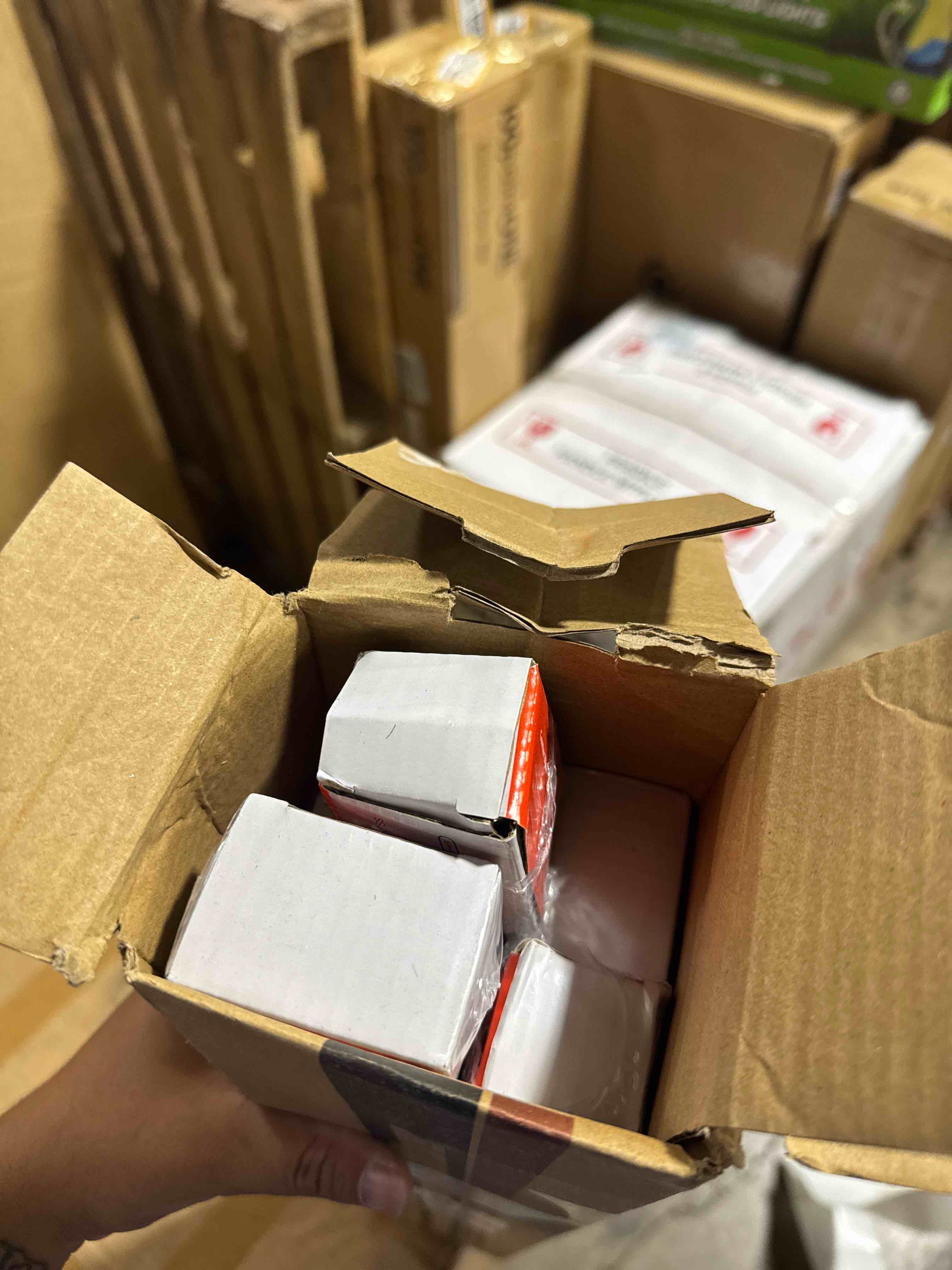 https://s3.amazonaws.com/lotting-images-prod/phillipi/BRN1925622_1759335681323.jpeg