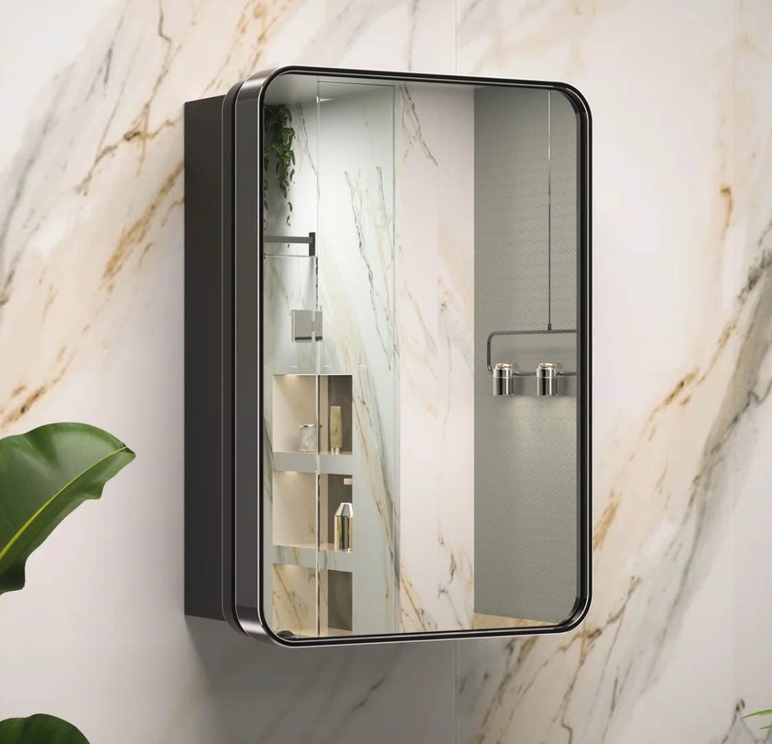 Gervon Rectangle Recessed or Surface Medicine Cabinet with Shelves and Mirror