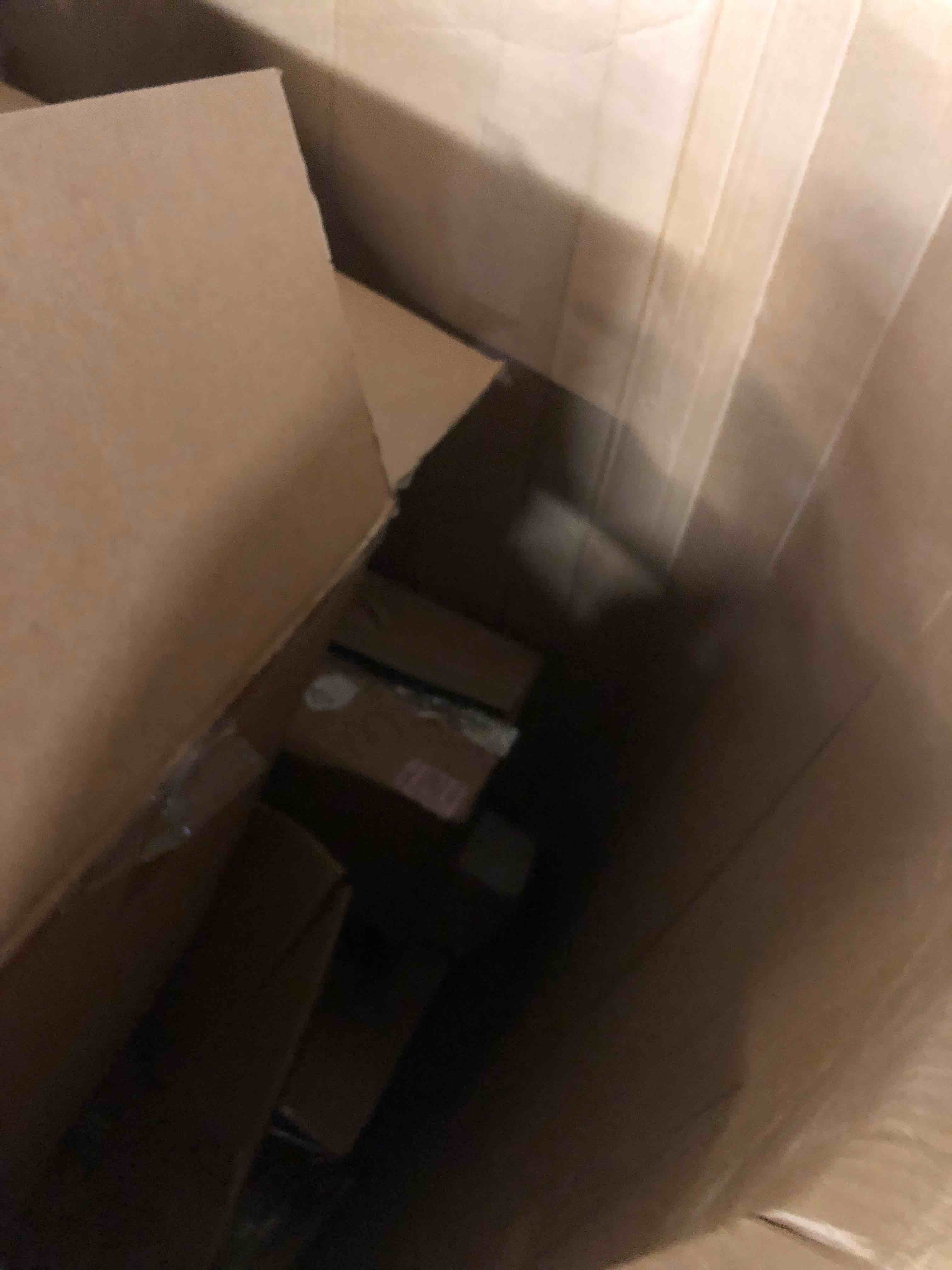 https://s3.amazonaws.com/lotting-images-prod/phillipi/BRN1928131_1752603535910.jpeg