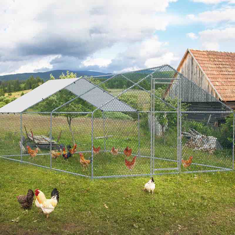 Emmeric Walk In Chicken Run