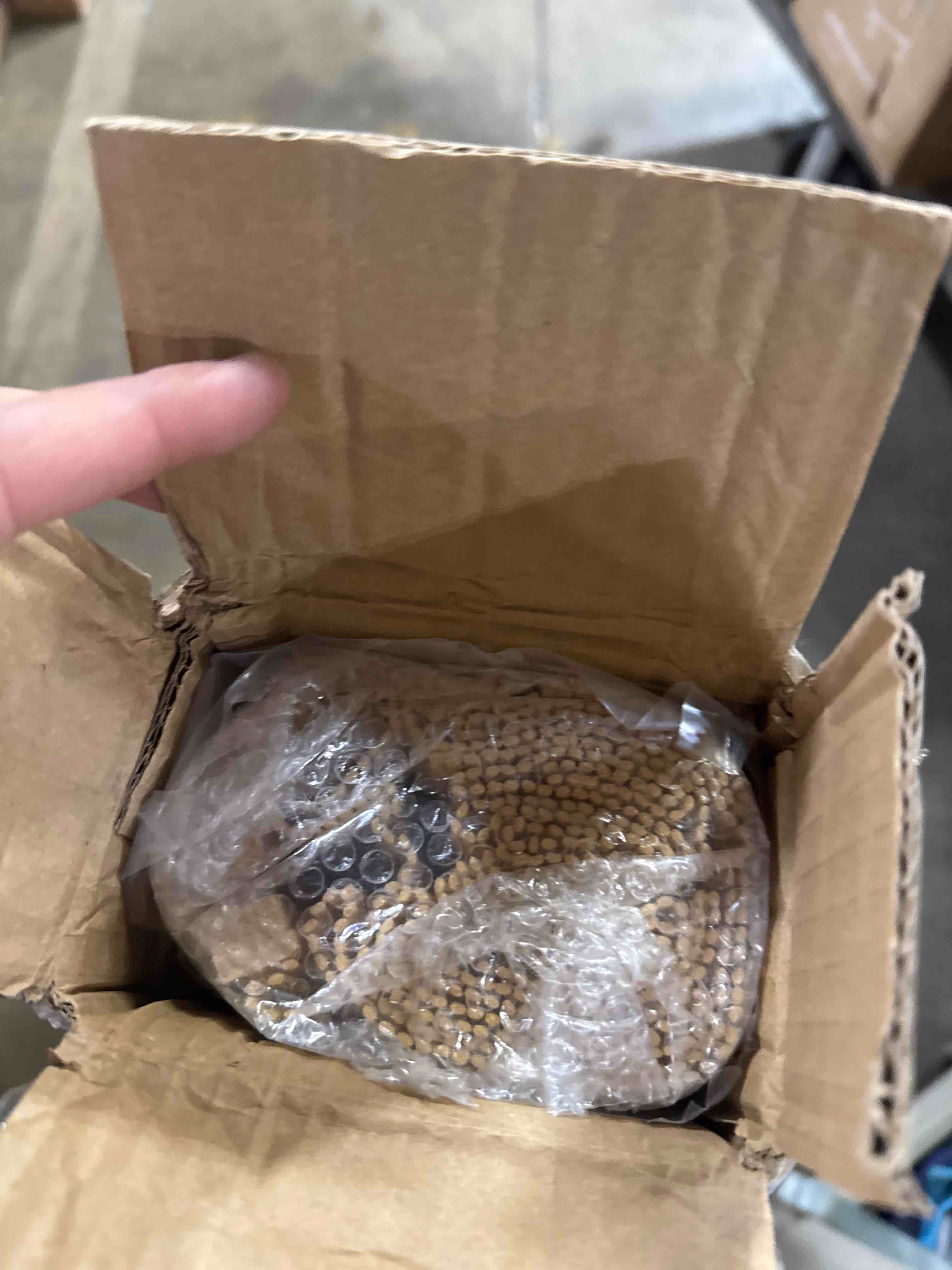 https://s3.amazonaws.com/lotting-images-prod/phillipi/BRN1935124_1757075025187.jpeg