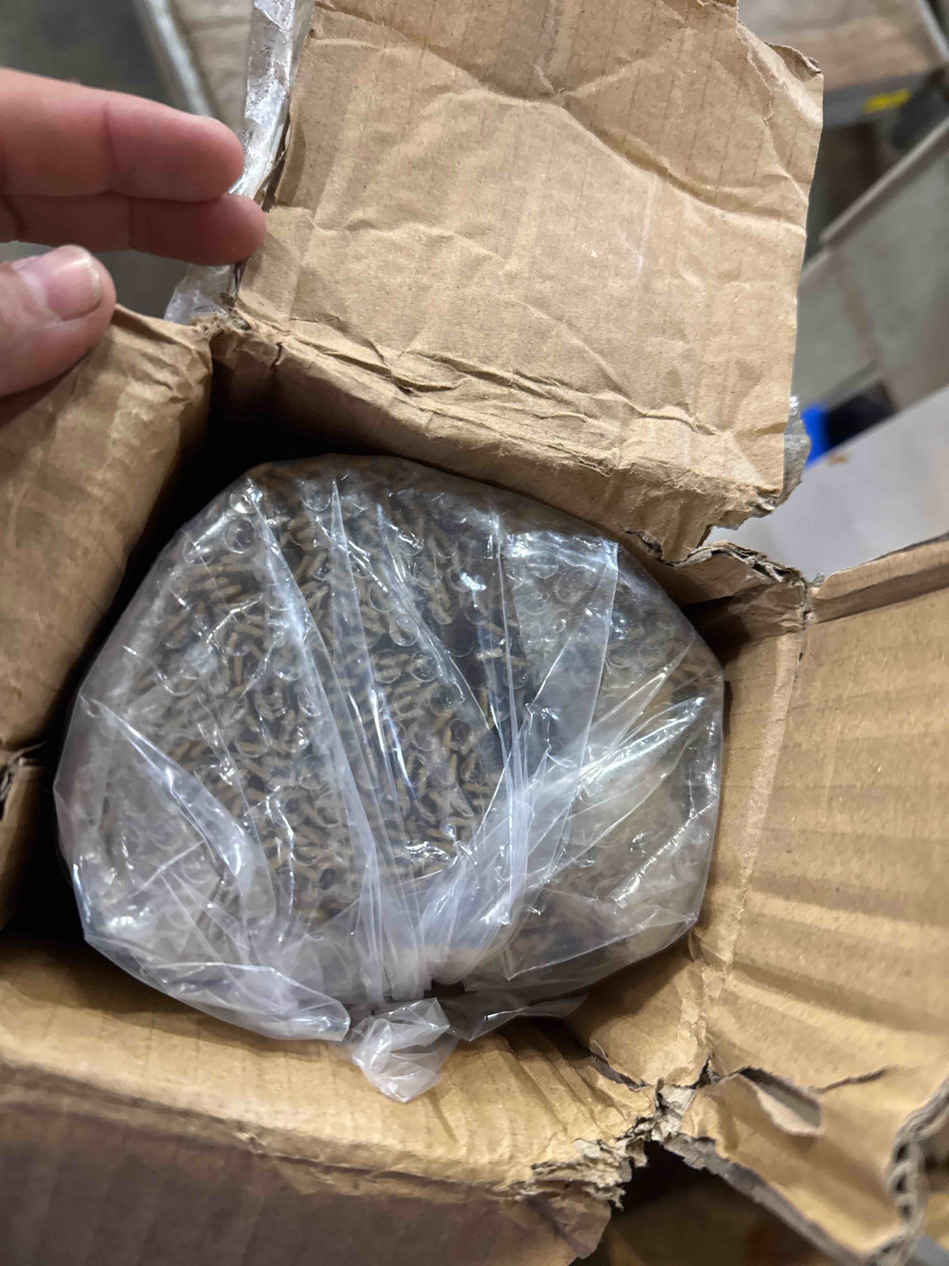 https://s3.amazonaws.com/lotting-images-prod/phillipi/BRN1935180_1757085163592.jpeg