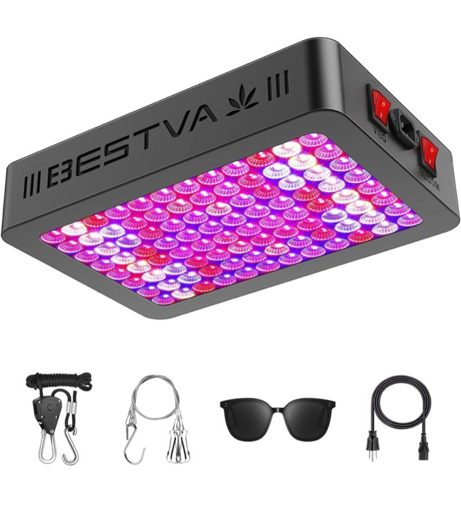 Big Savings, Small Packages! Row - 17 smalls